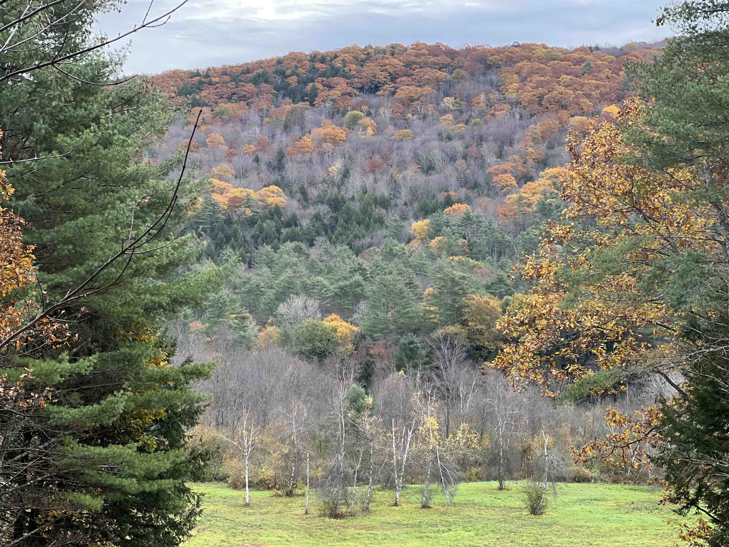 Homes for sale in Athens, VT | 91 Vt Route 35, Athens, VT 05143 | MLS# 5089534