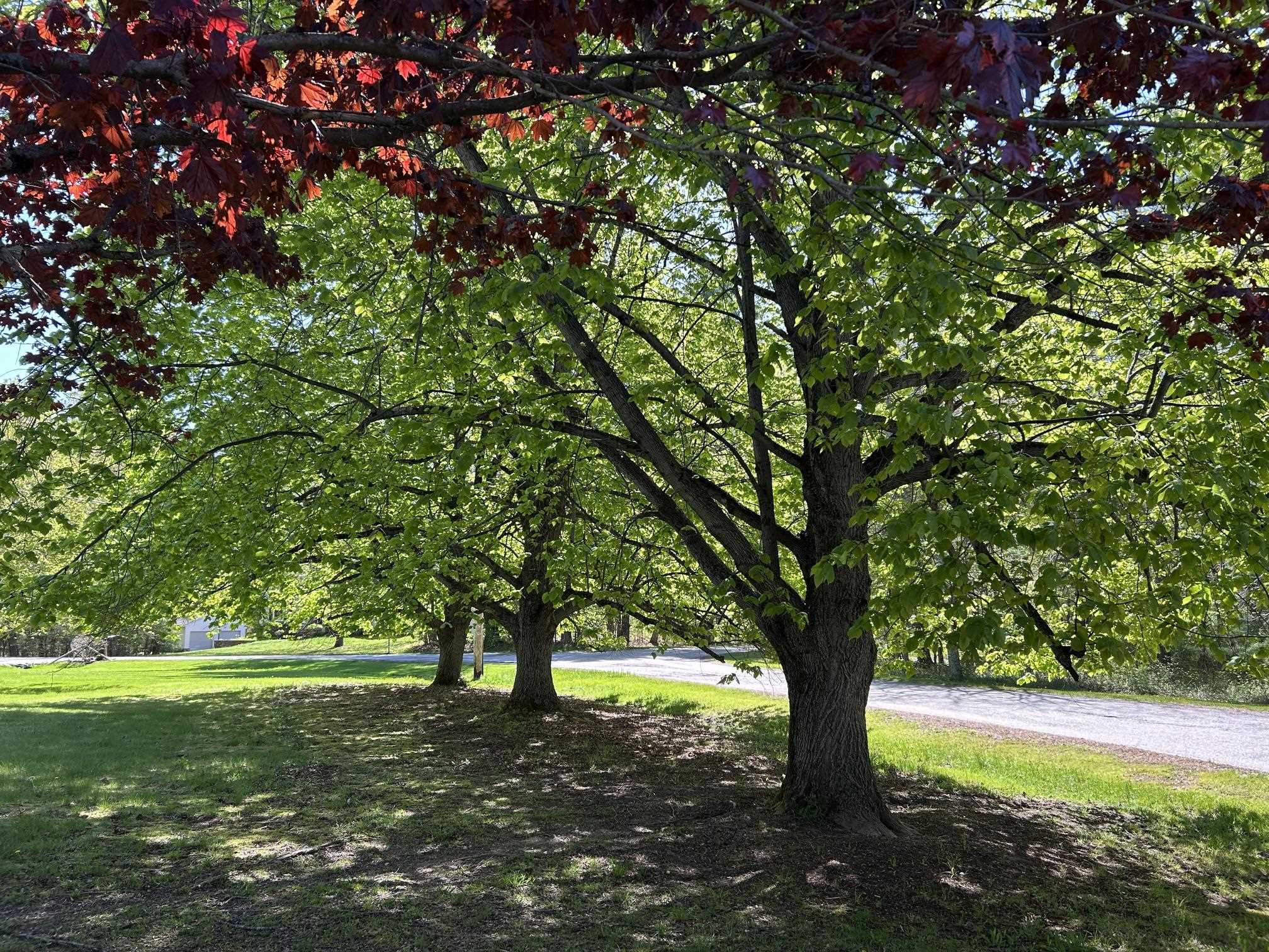 9 Oak Ridge Rd, Kensington, NH 03833