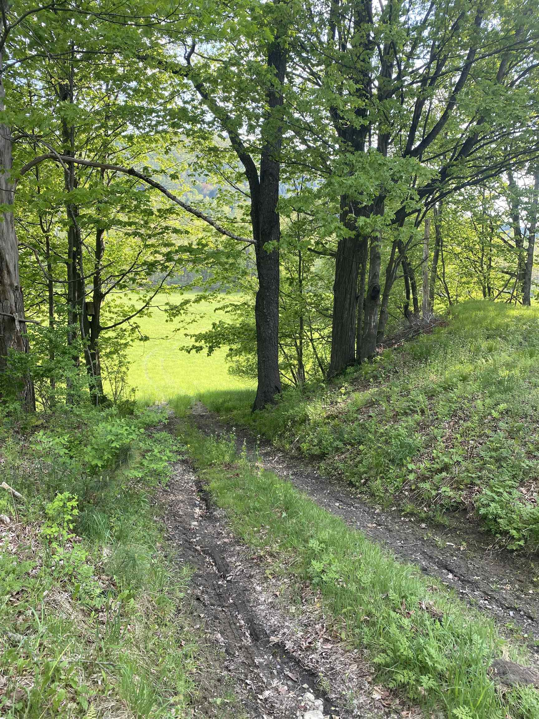 Homes for sale in South Royalton, VT | 13 Happy Hollow Rd, South Royalton, VT 05068 | MLS# 5089557
