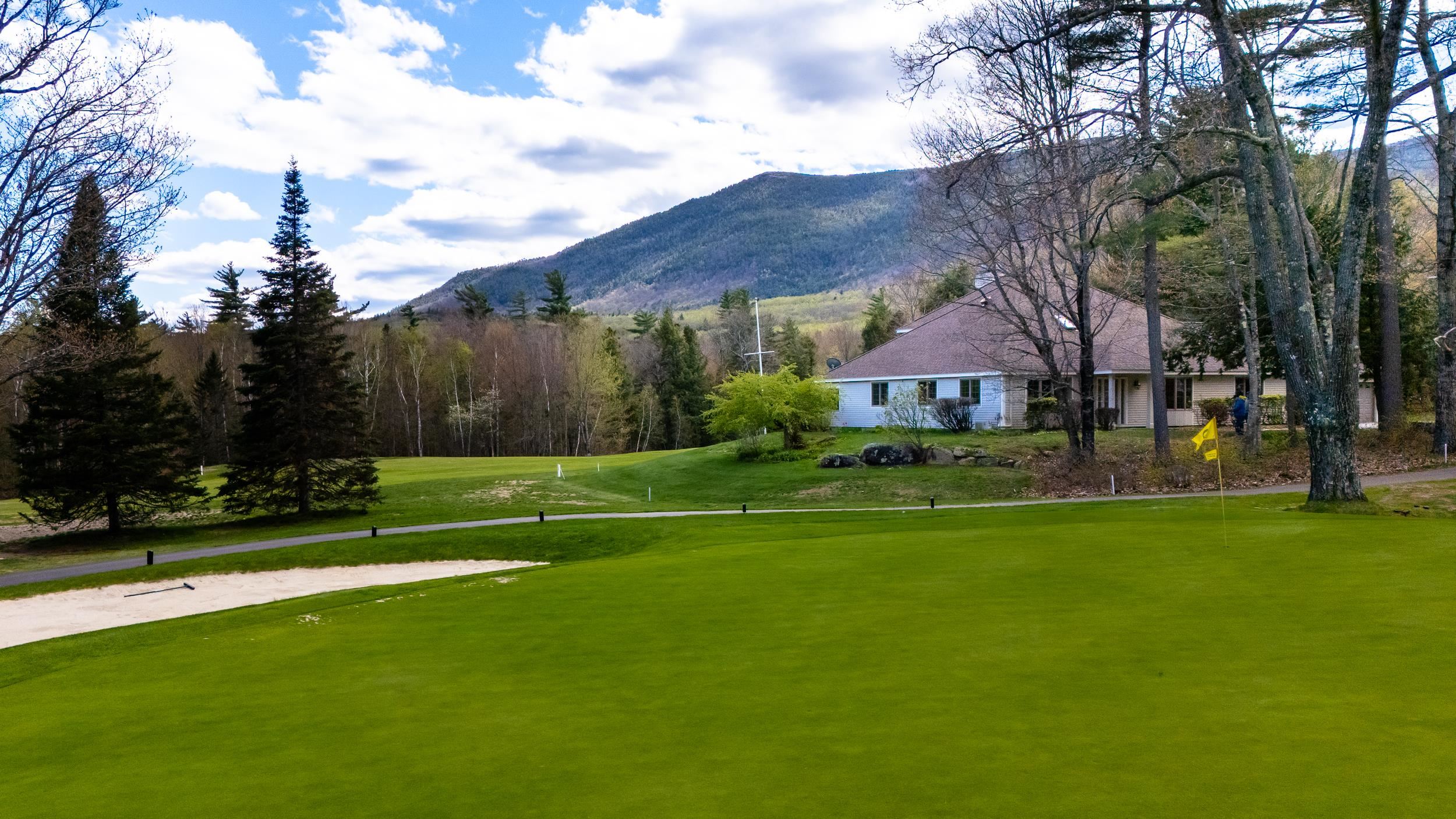 103 Samuel Hale Dr, Hales Location, NH 03860