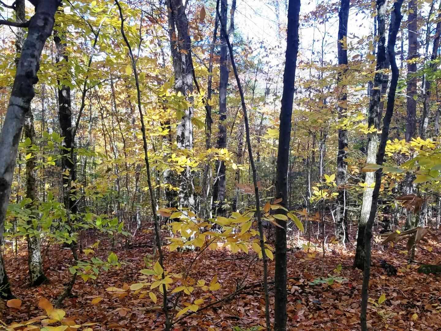 12-10 Boulder Dr, Campton, NH 03223