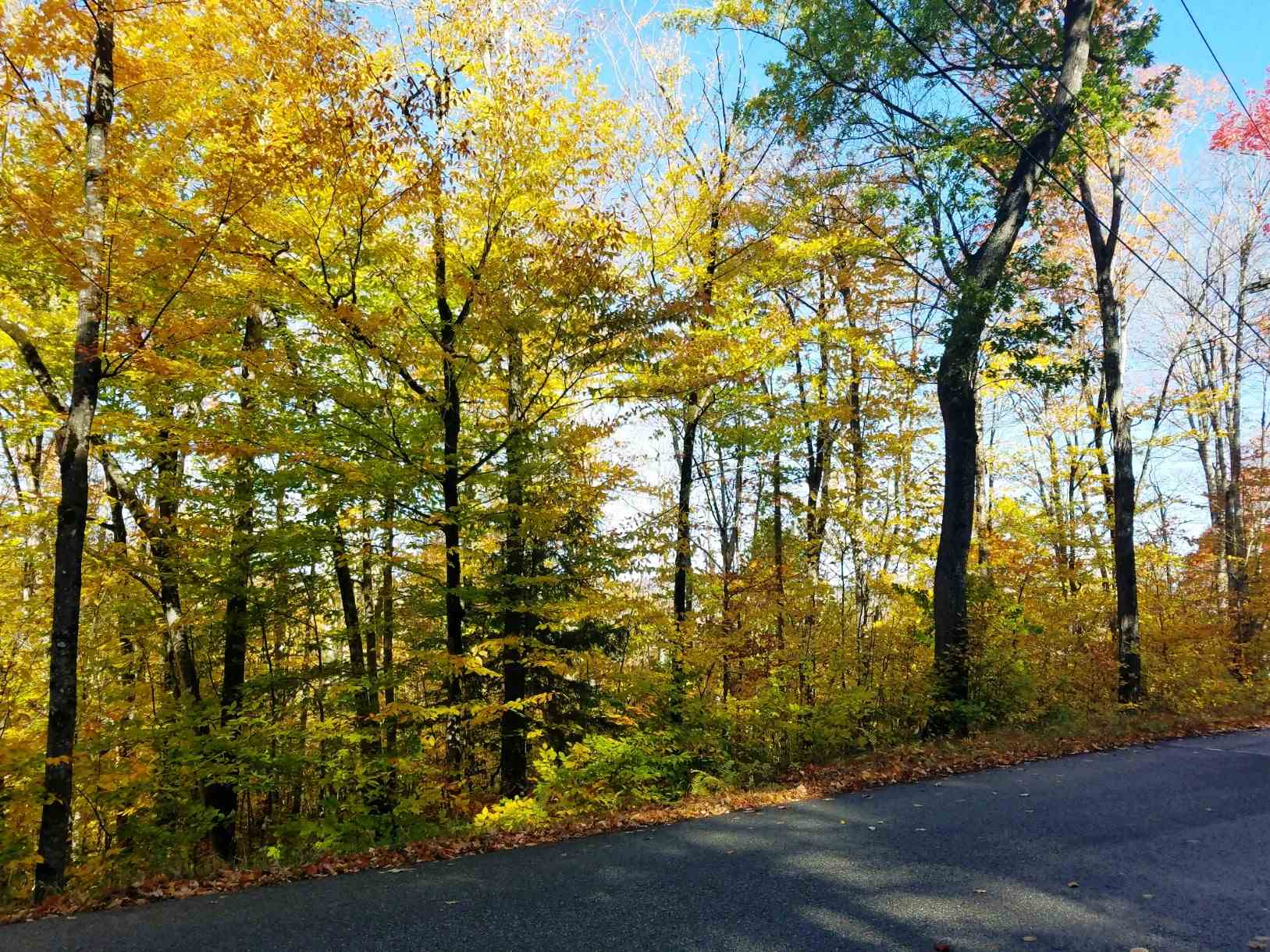 12-10 Boulder Dr, Campton, NH 03223