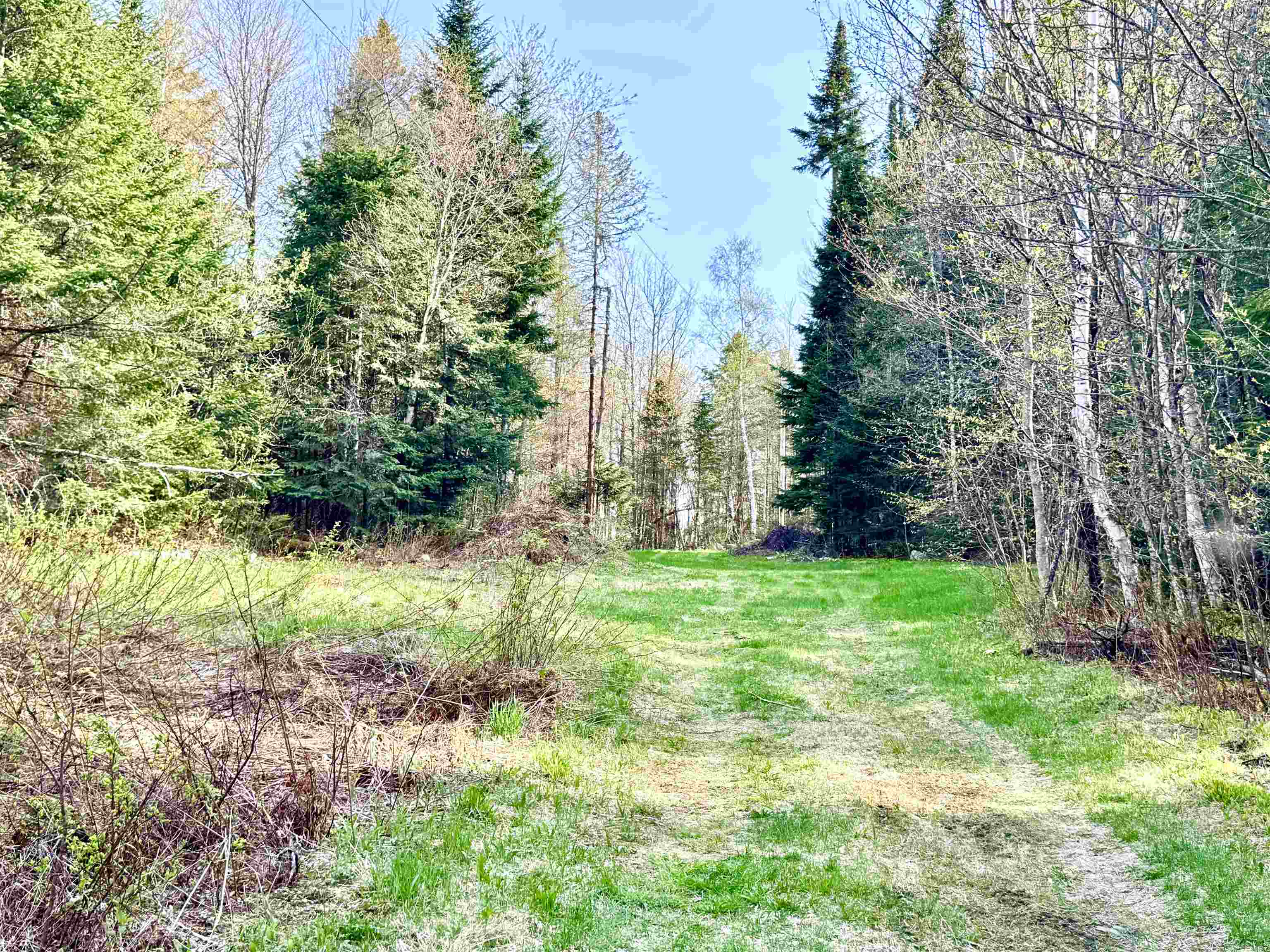 40 Griffin Rd, Stewartstown, NH 03576