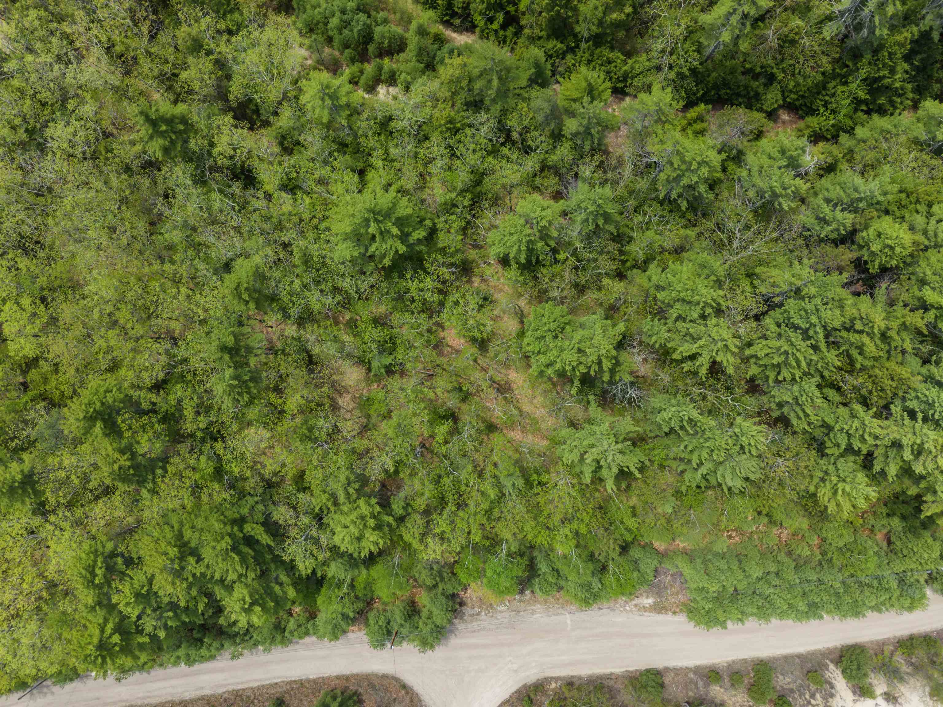 lot 15 Pine Point Rd, New Durham, NH 03855