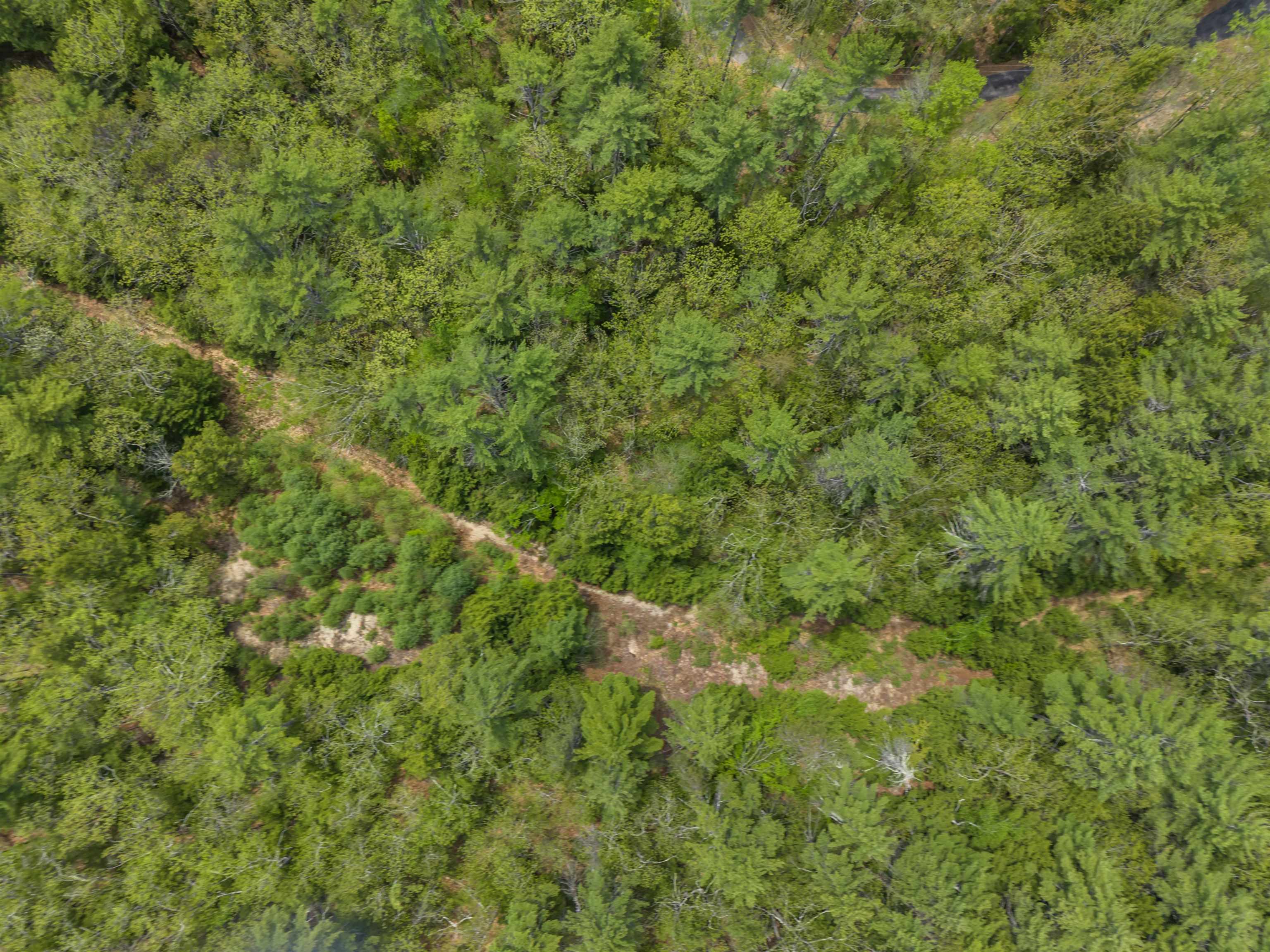 lot 15 Pine Point Rd, New Durham, NH 03855