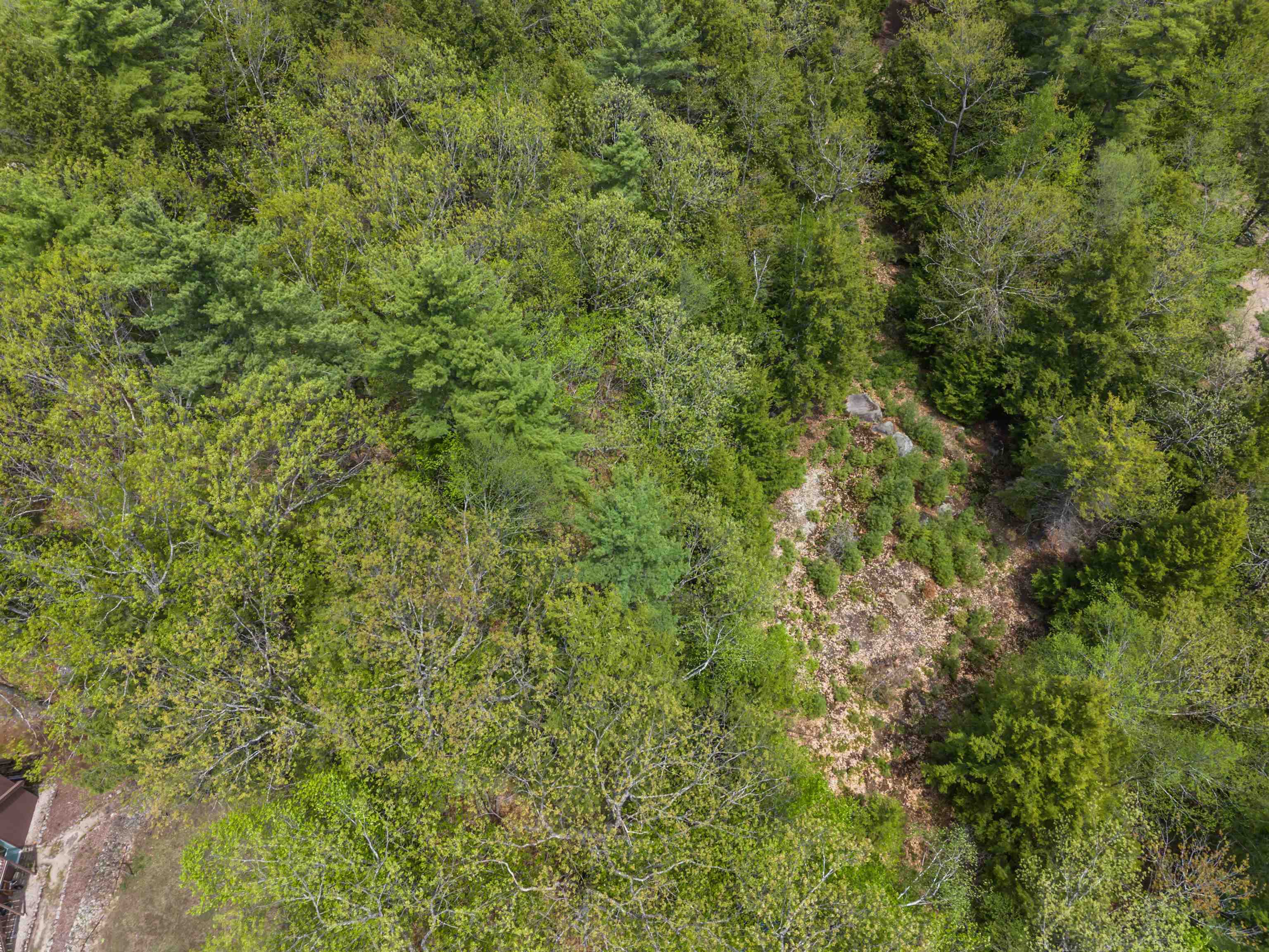 lot 15 Pine Point Rd, New Durham, NH 03855