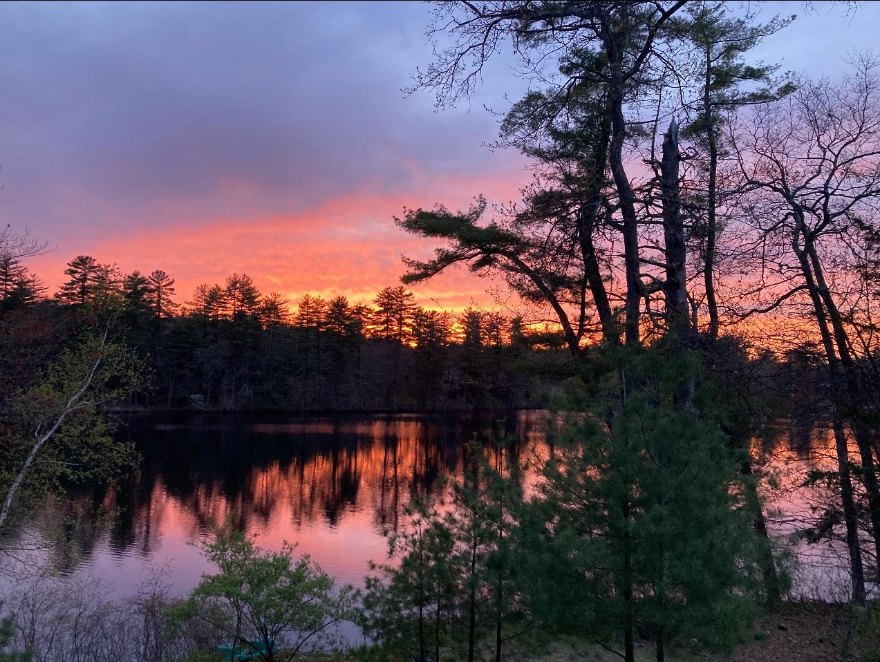91 Sebbins Pond Dr, Bedford, NH 03110