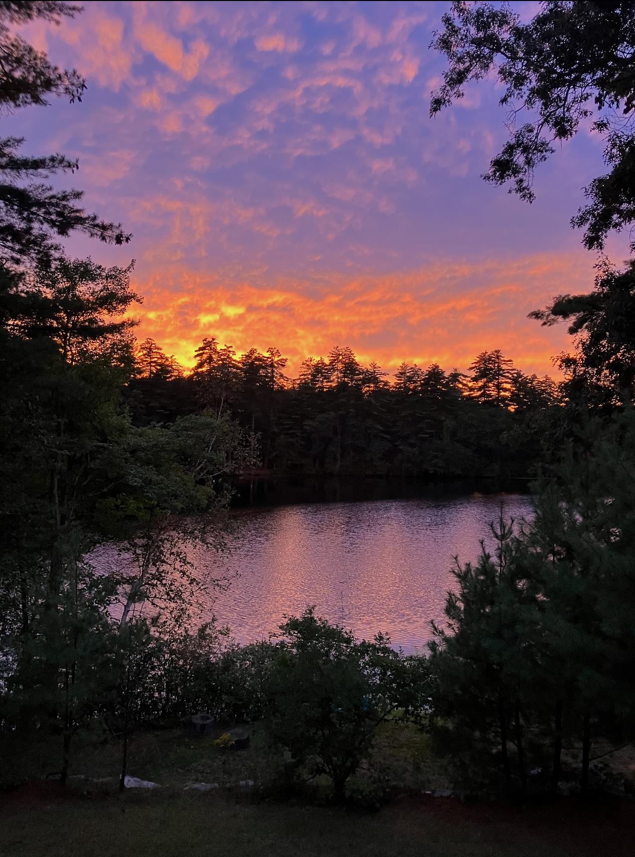 91 Sebbins Pond Dr, Bedford, NH 03110