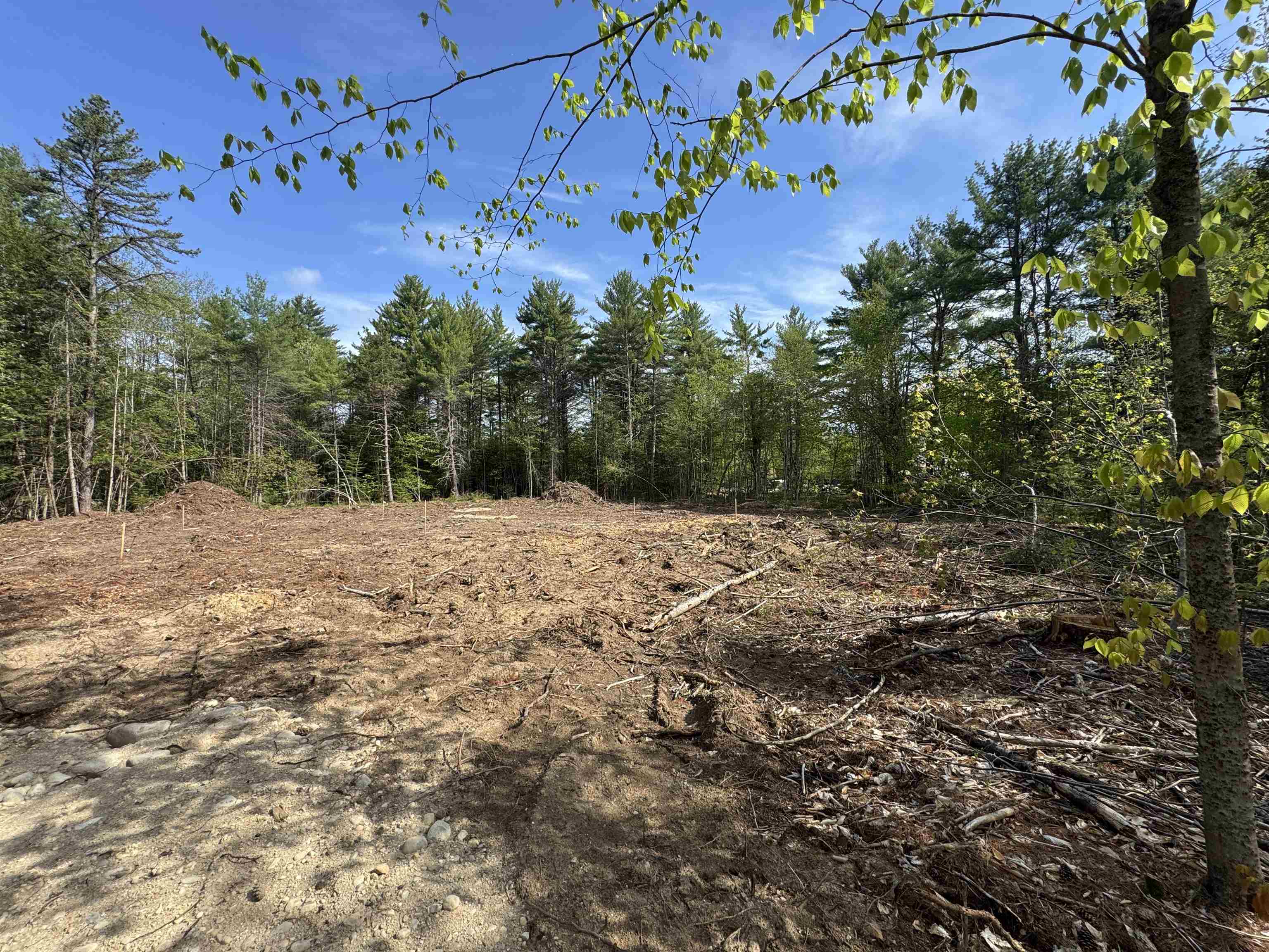 00 Gray Fox Rd, Effingham, NH 03882