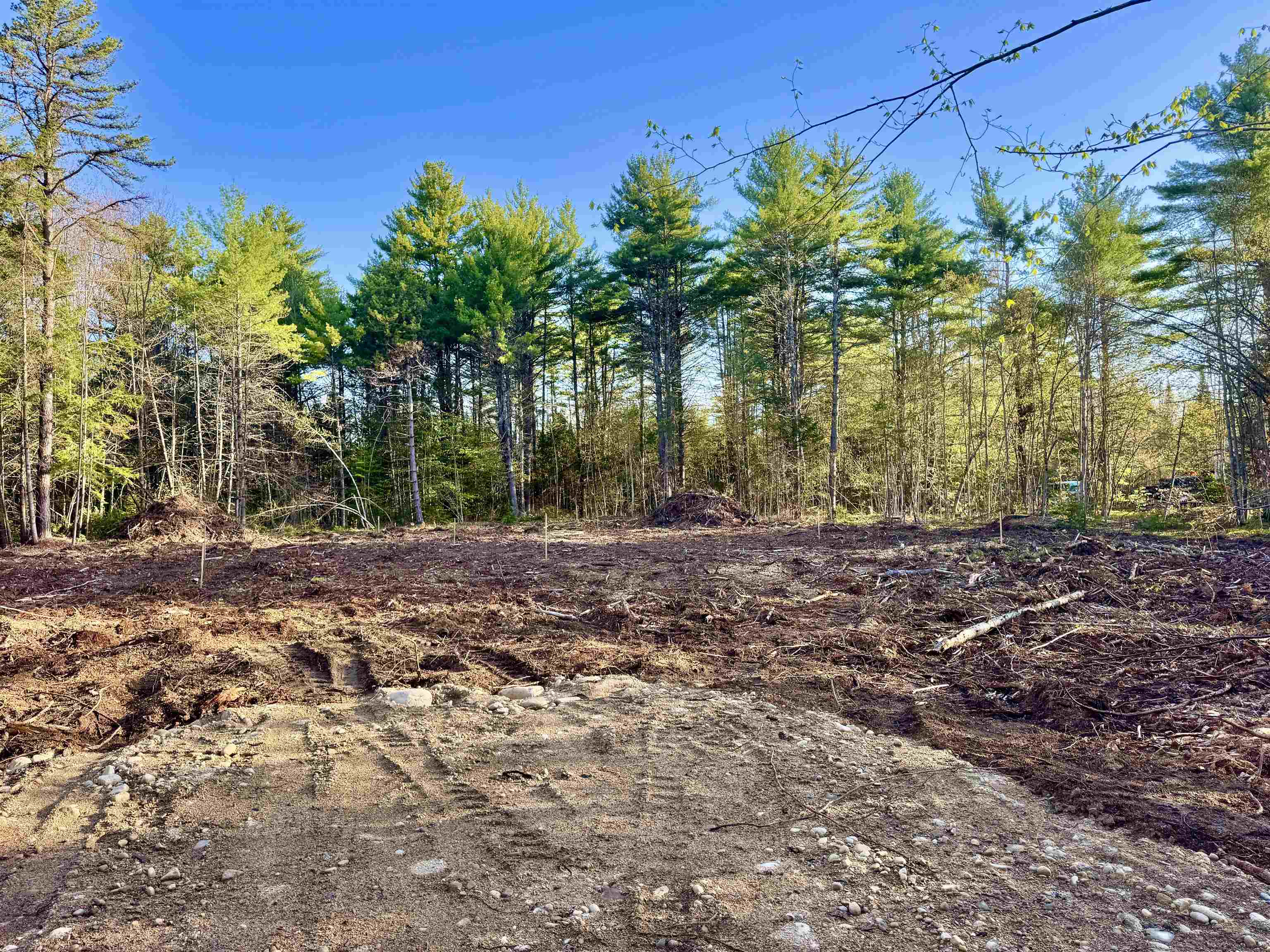 00 Gray Fox Rd, Effingham, NH 03882