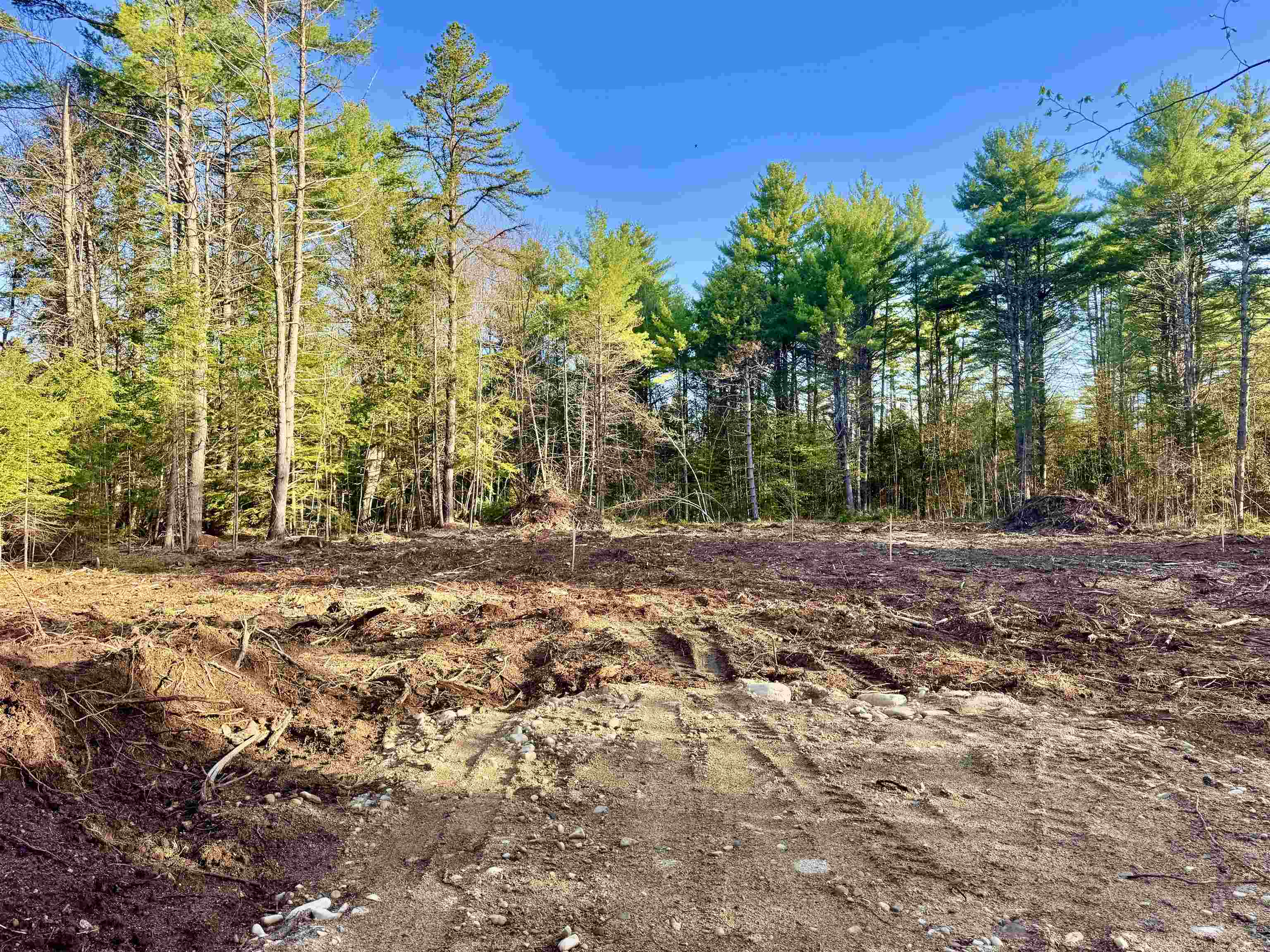 00 Gray Fox Rd, Effingham, NH 03882