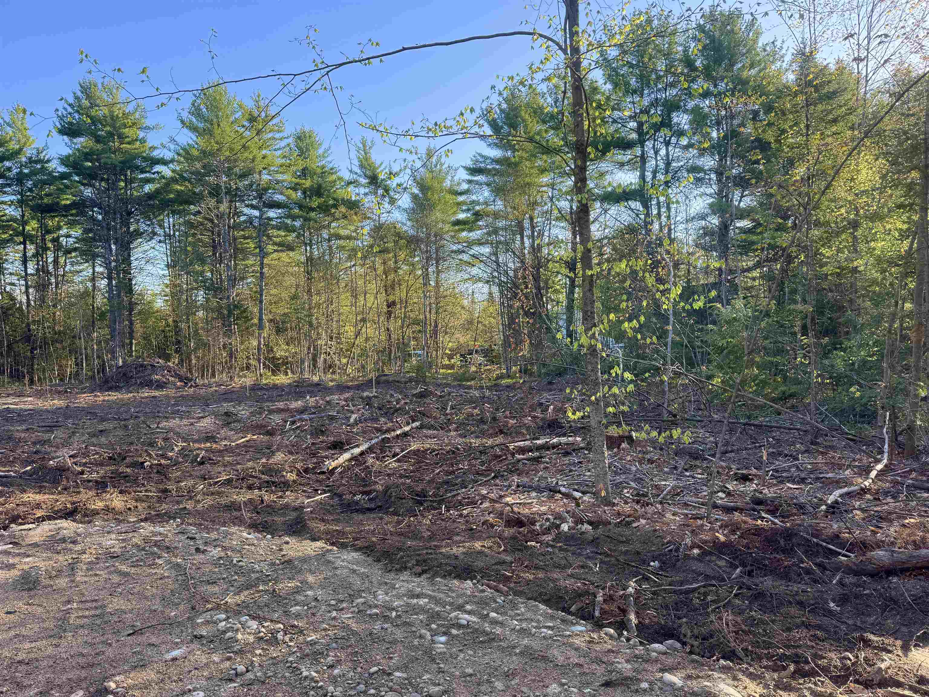 00 Gray Fox Rd, Effingham, NH 03882