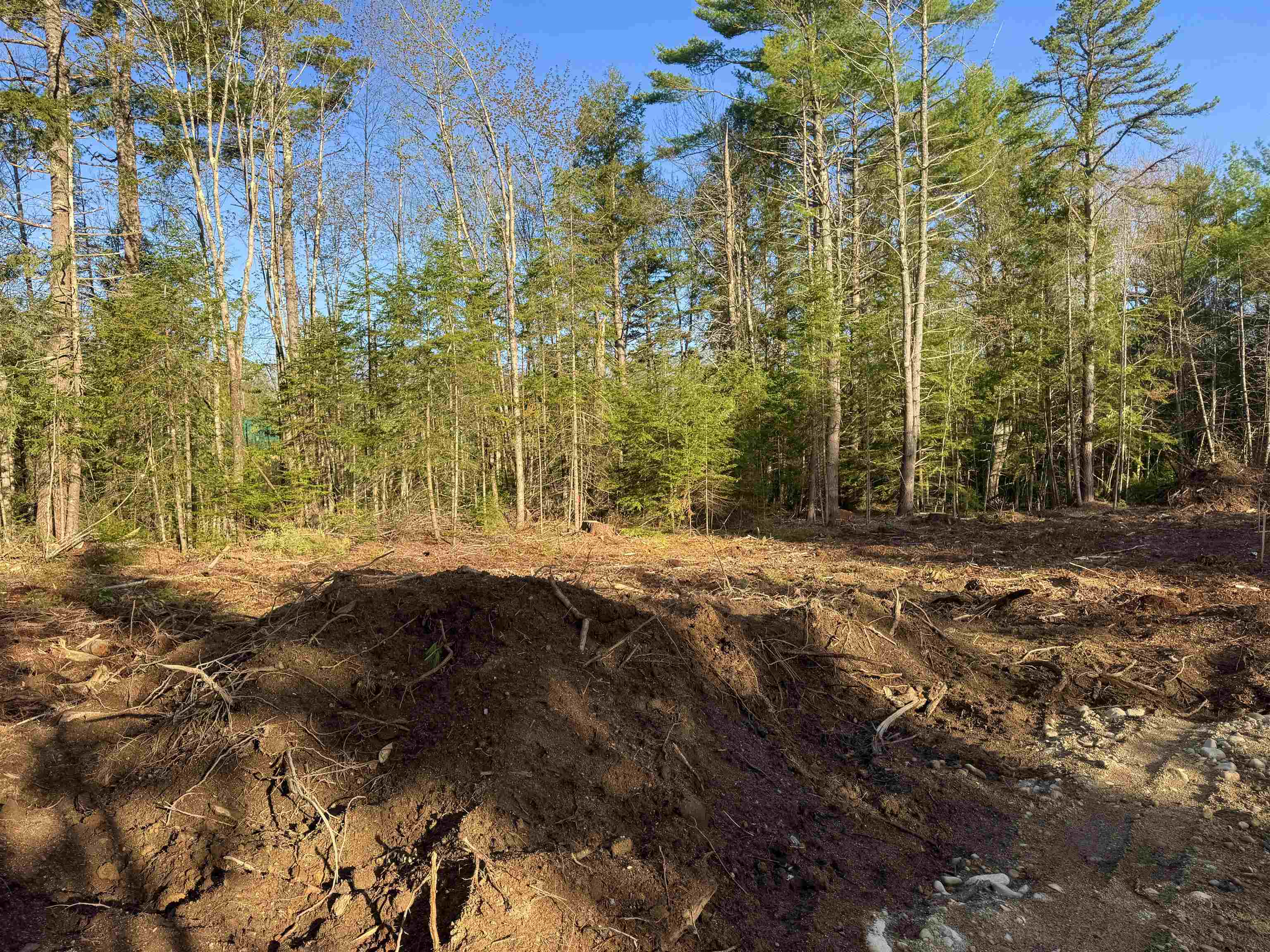 00 Gray Fox Rd, Effingham, NH 03882