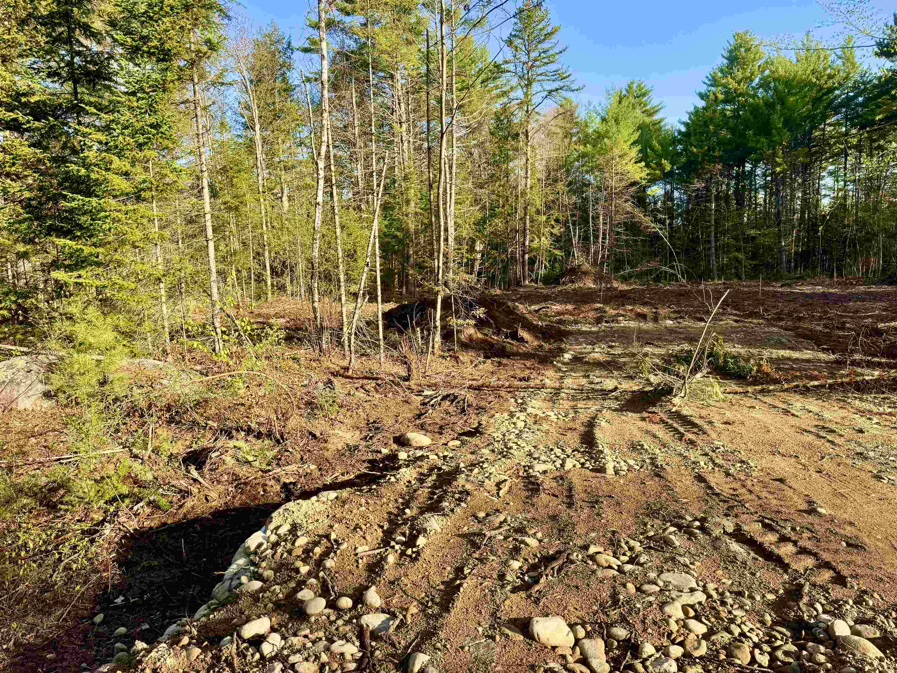 00 Gray Fox Rd, Effingham, NH 03882