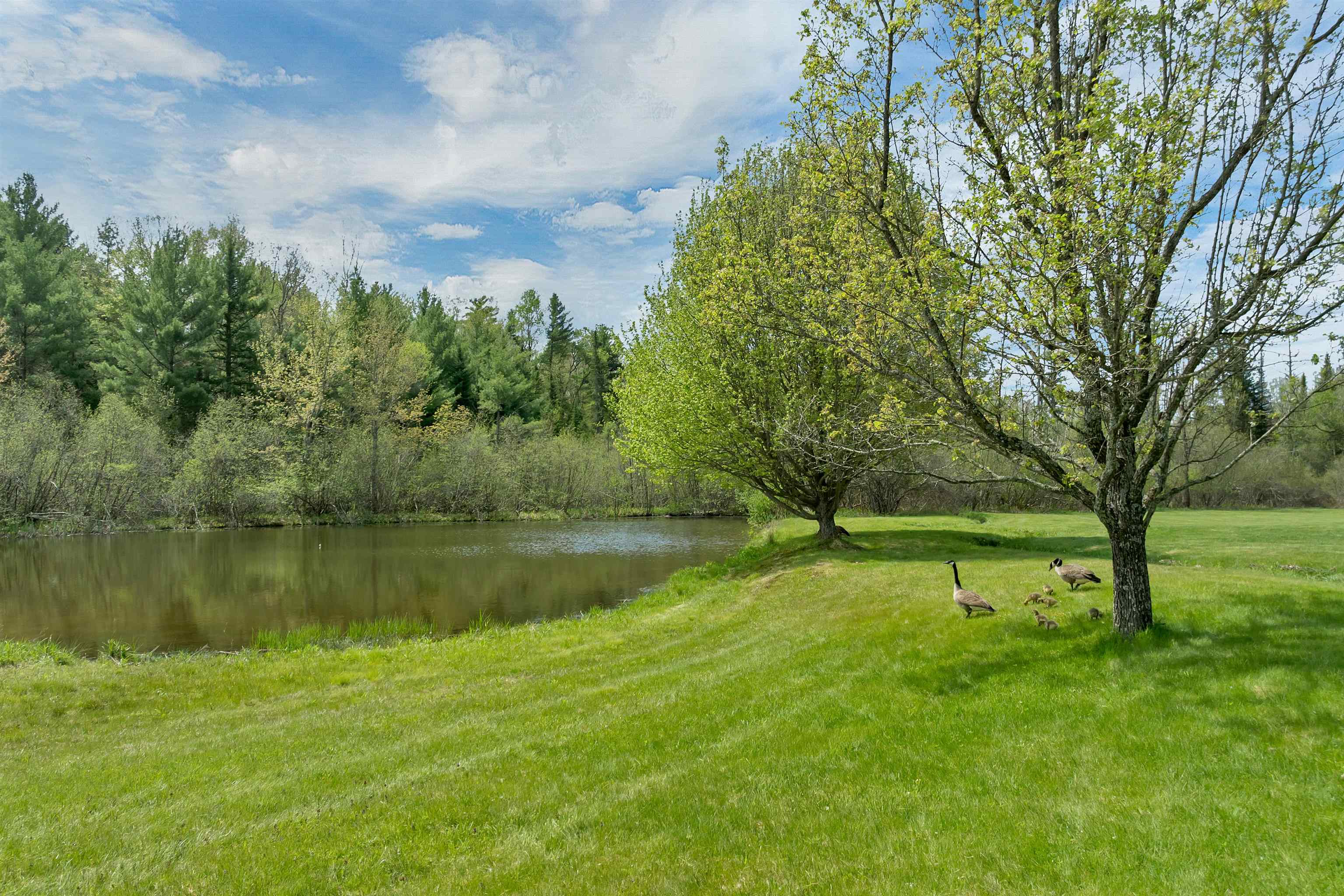 145 Turnpike Rd, Northfield, NH 03276