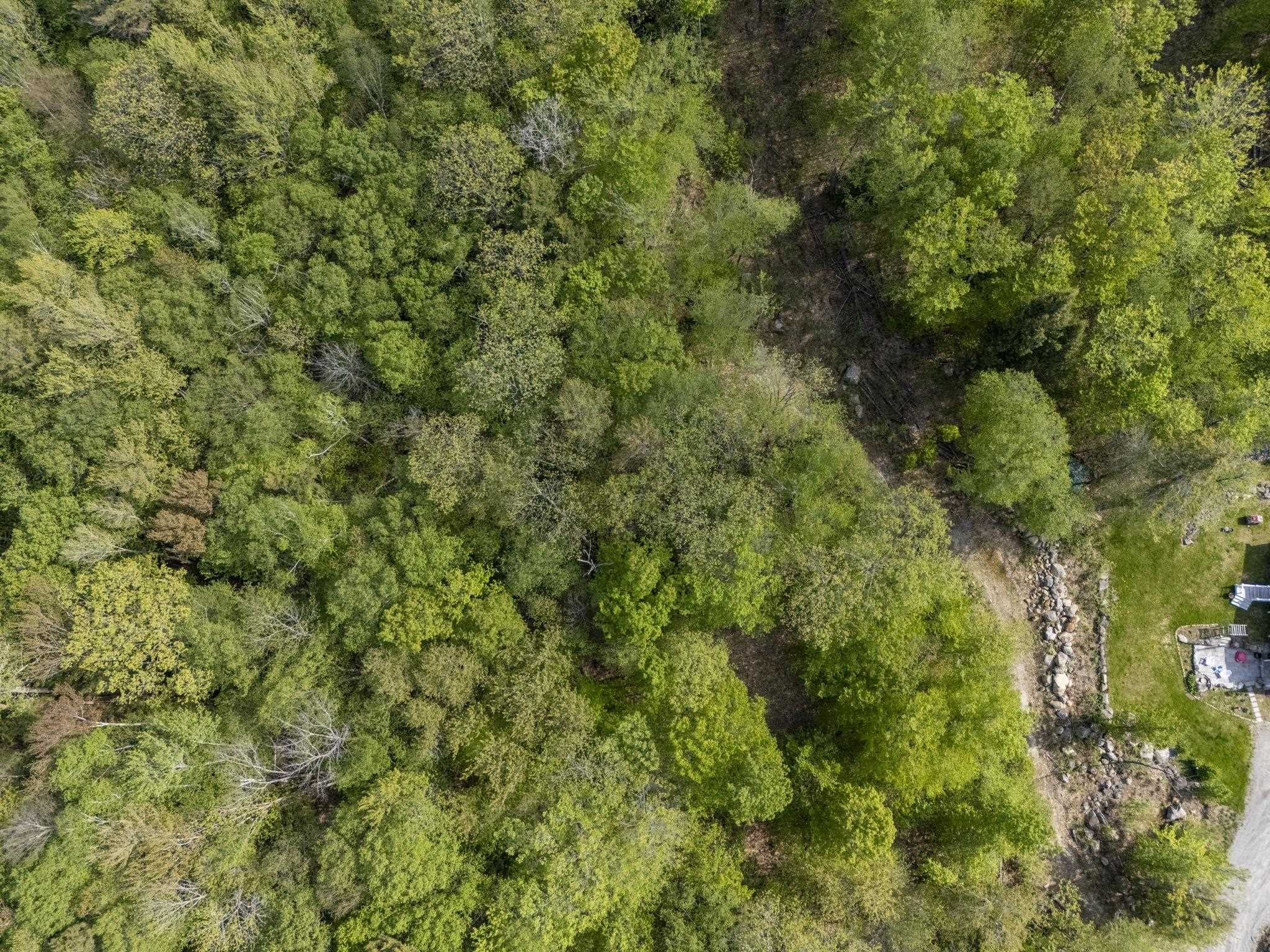 00 Loyd Ln, Harrisville, NH 03450