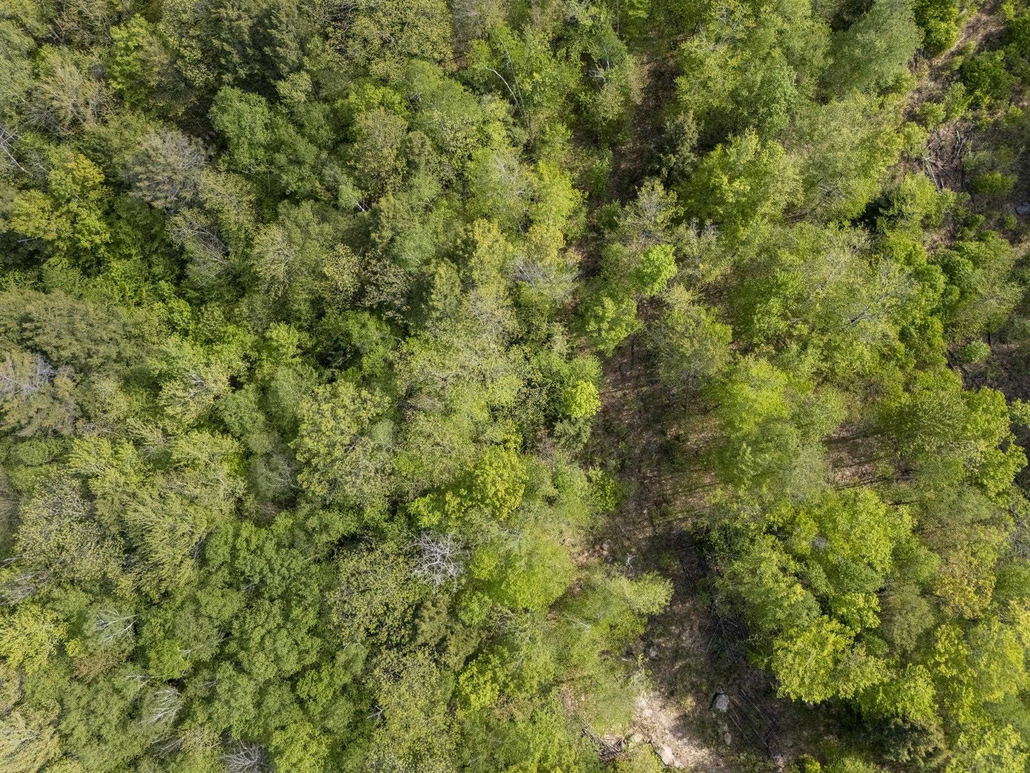 00 Loyd Ln, Harrisville, NH 03450