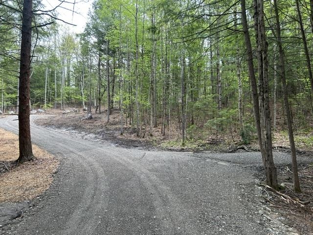 0 Nh Route 114, Sutton, NH 03260