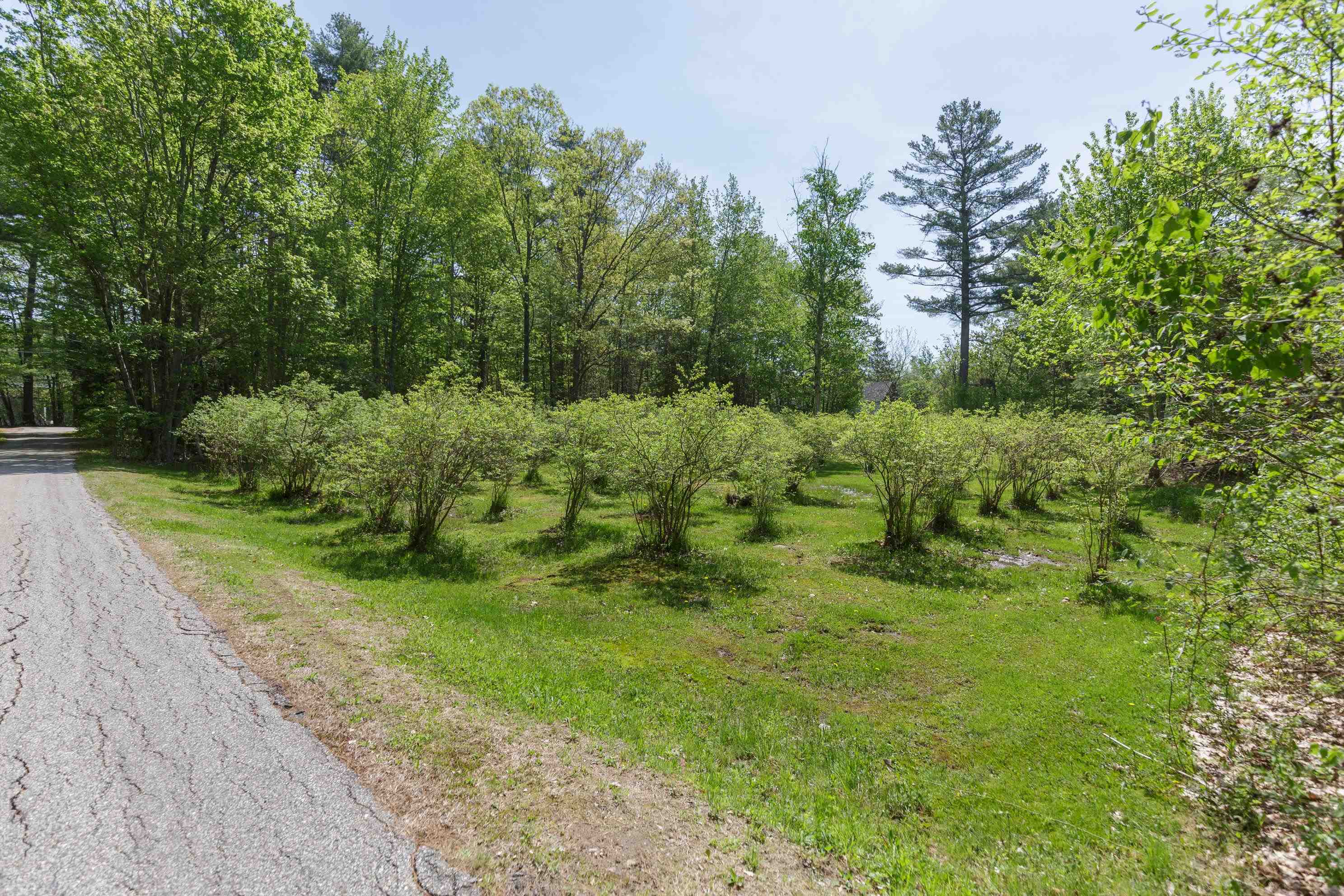 49 Moss Rd, Hopkinton, NH 03229