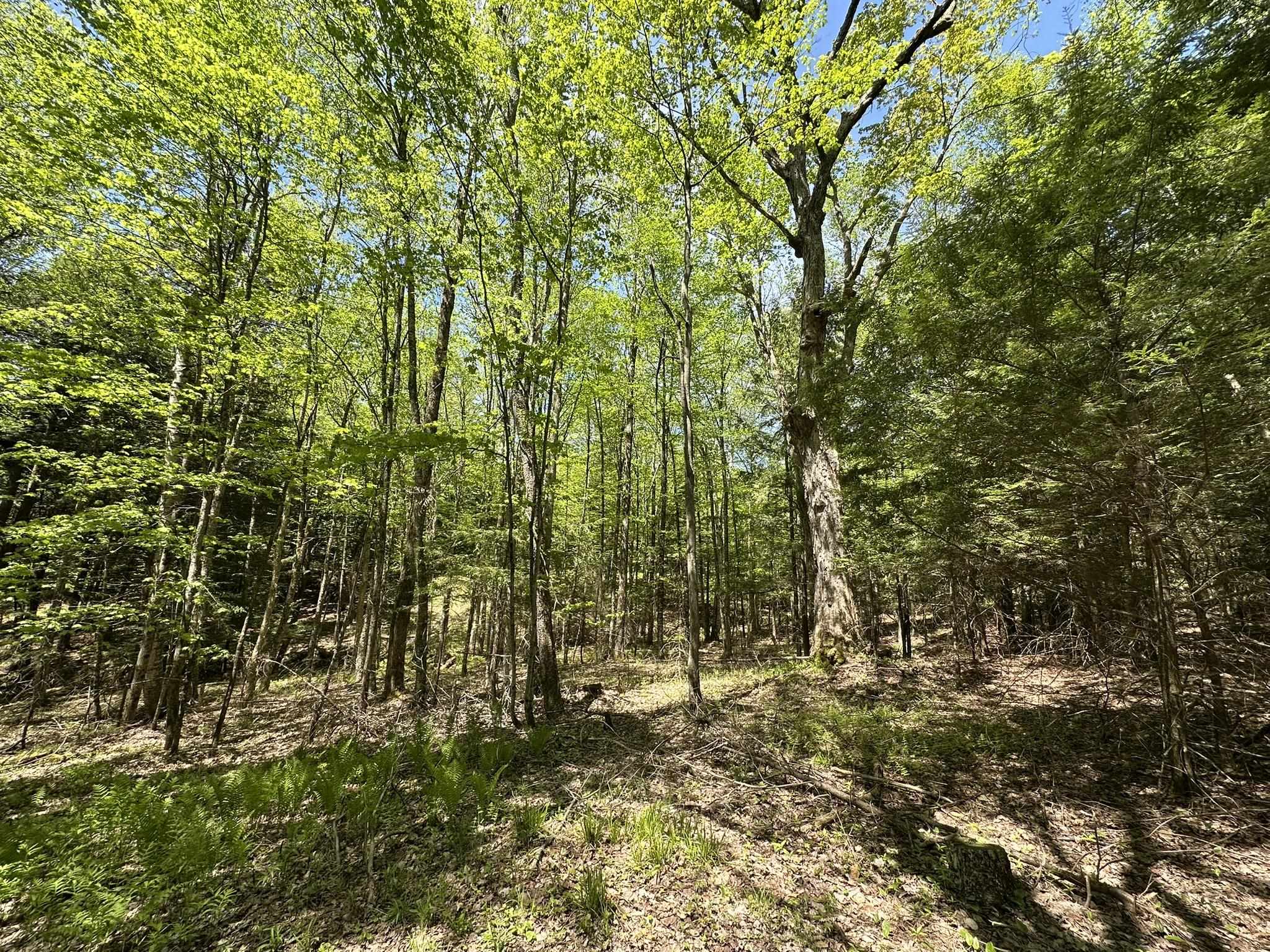 Property photo 35