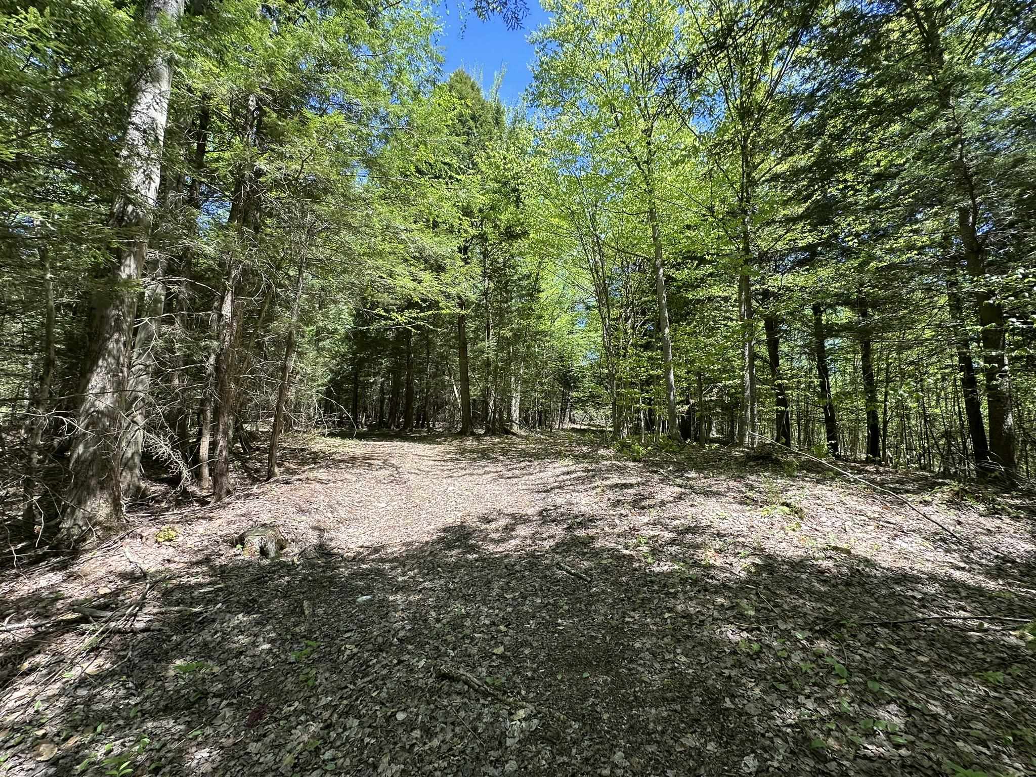 Property photo 37