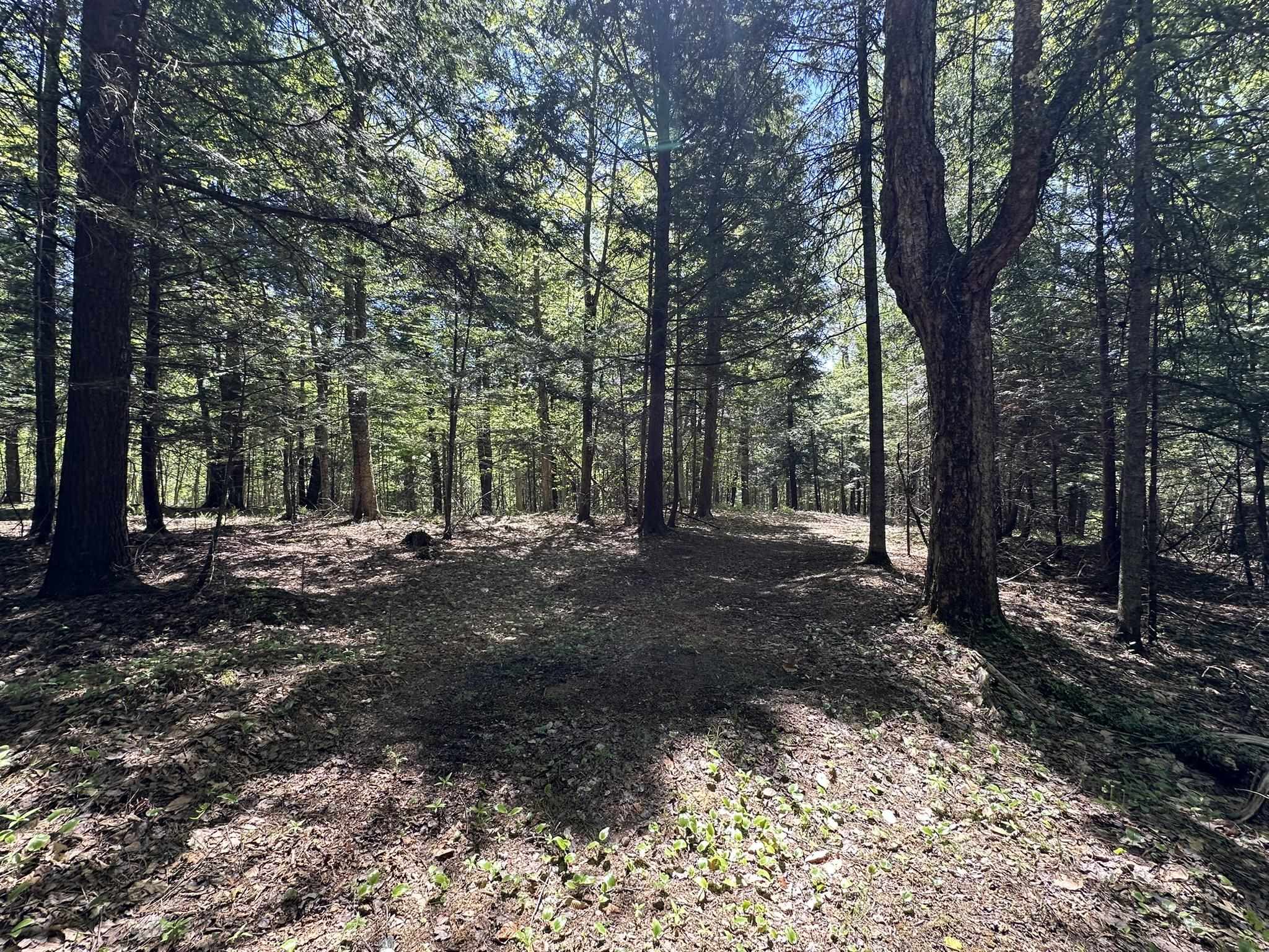 Property photo 38