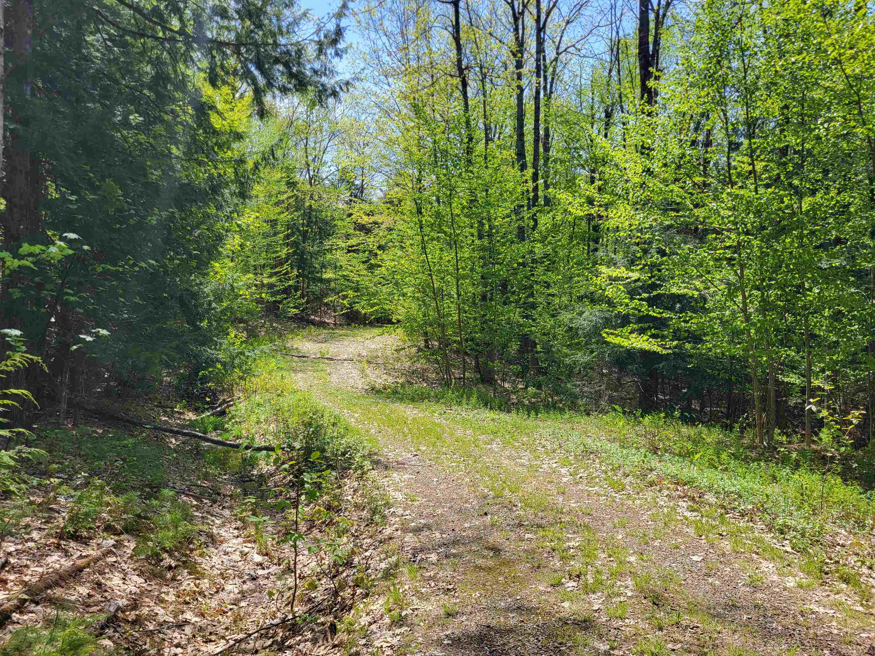 390 Matthews Rd, Alexandria, NH 03222