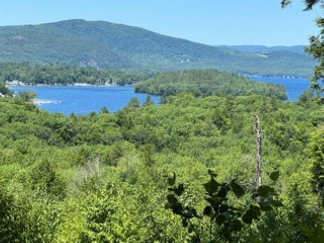 BRISTOL NH&nbsp;Land for sale $$675,000 | 74.5 Acres  | Price Per Acre $0  | Total Lots 6
