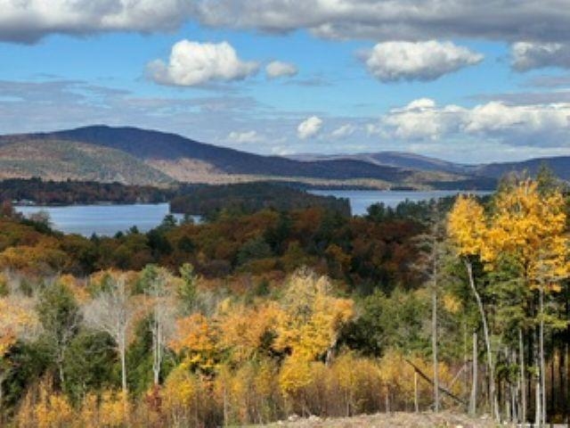 207 Overlook Dr, Bristol, NH 03222