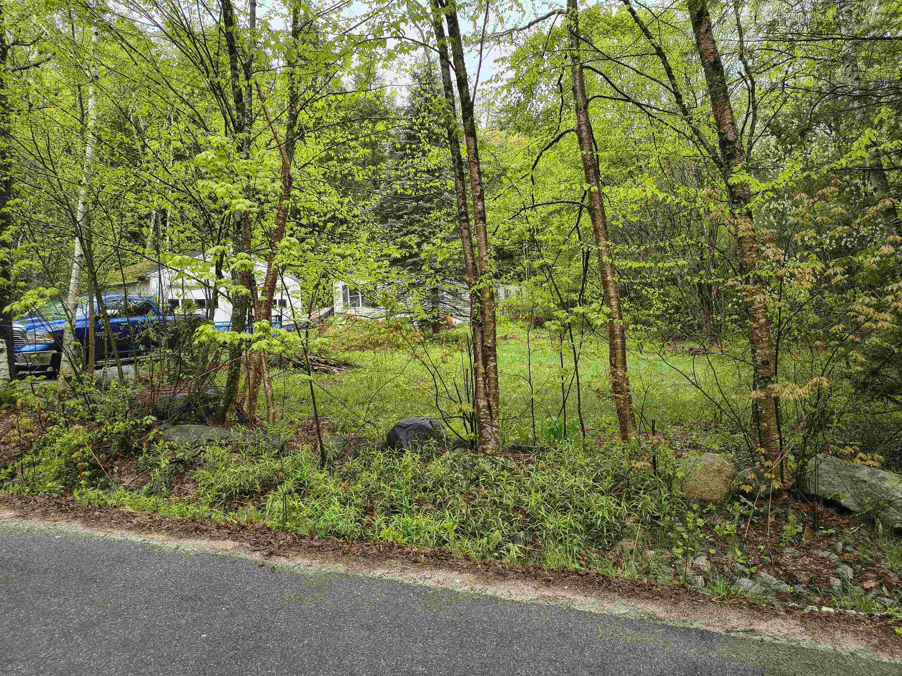 106 Waldron Hill Rd, Warner, NH 03278