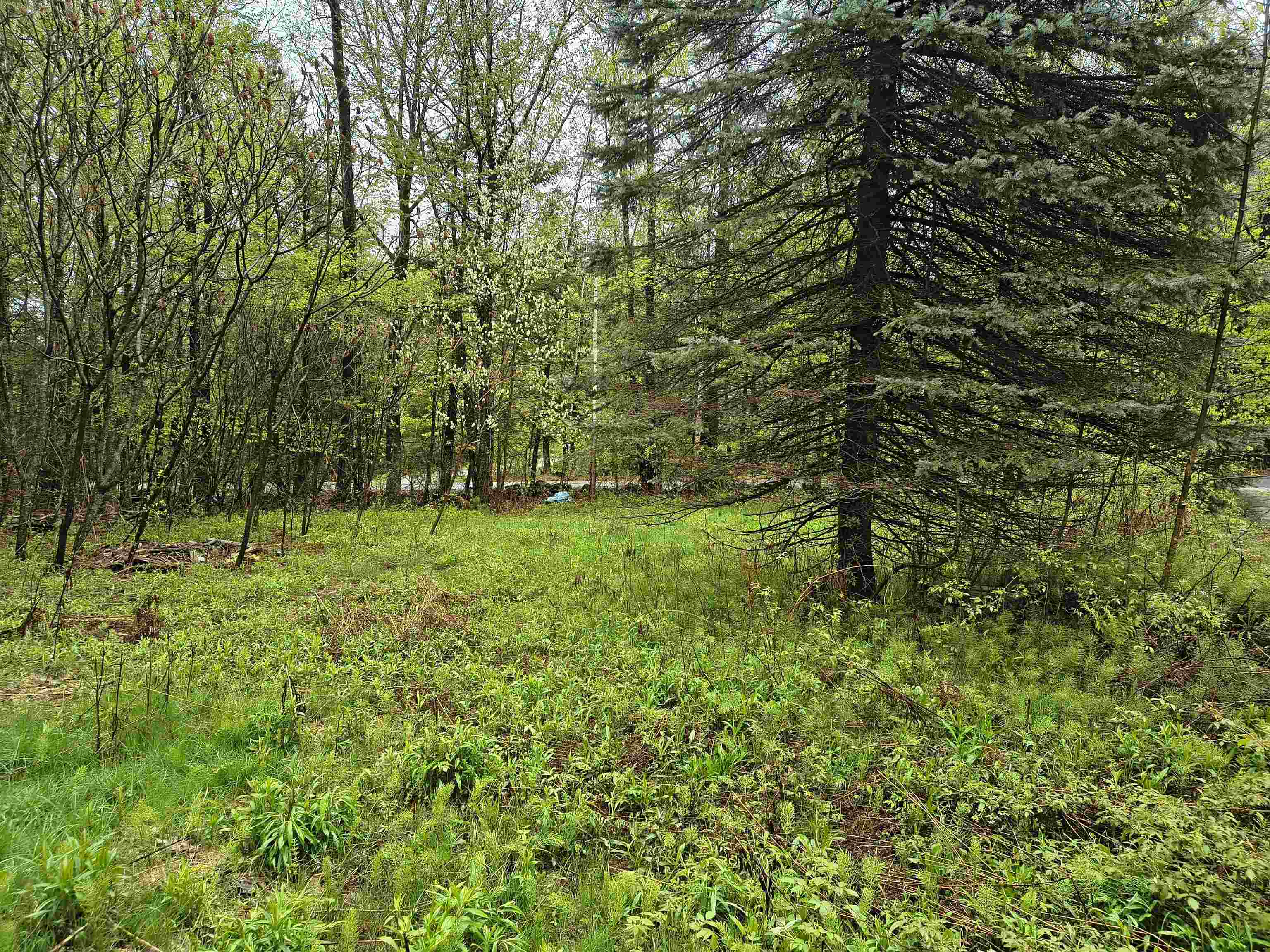 106 Waldron Hill Rd, Warner, NH 03278