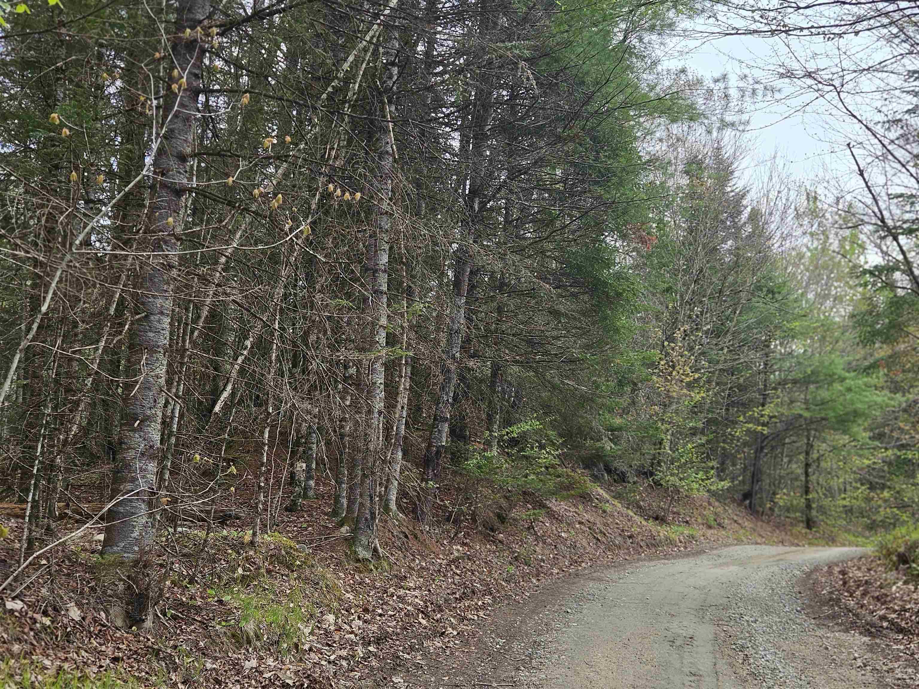 Lot 10.1 Wallace Hill Rd, Franconia, NH 03580