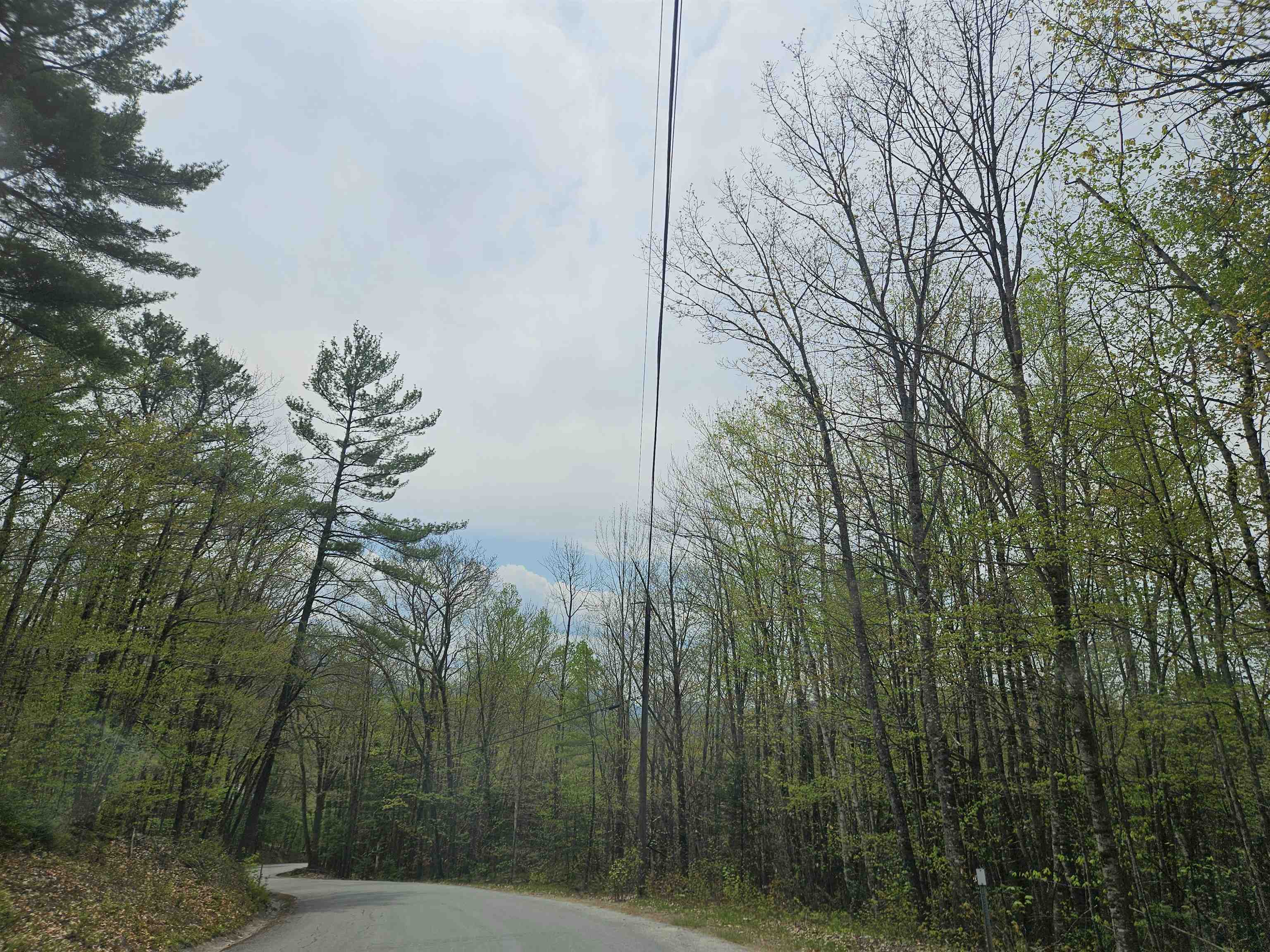 Lot 10.1 Wallace Hill Rd, Franconia, NH 03580