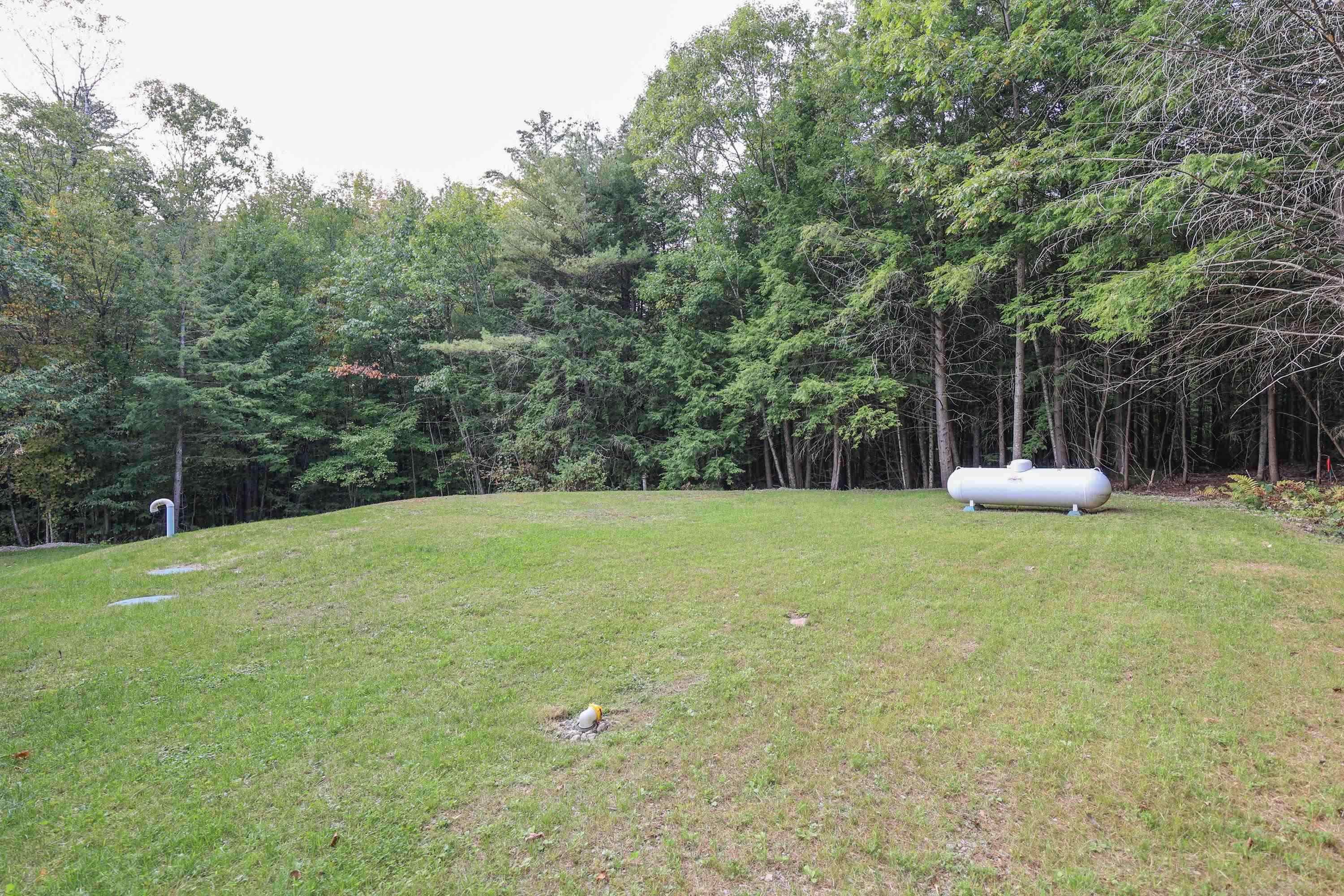 side yard 25288175