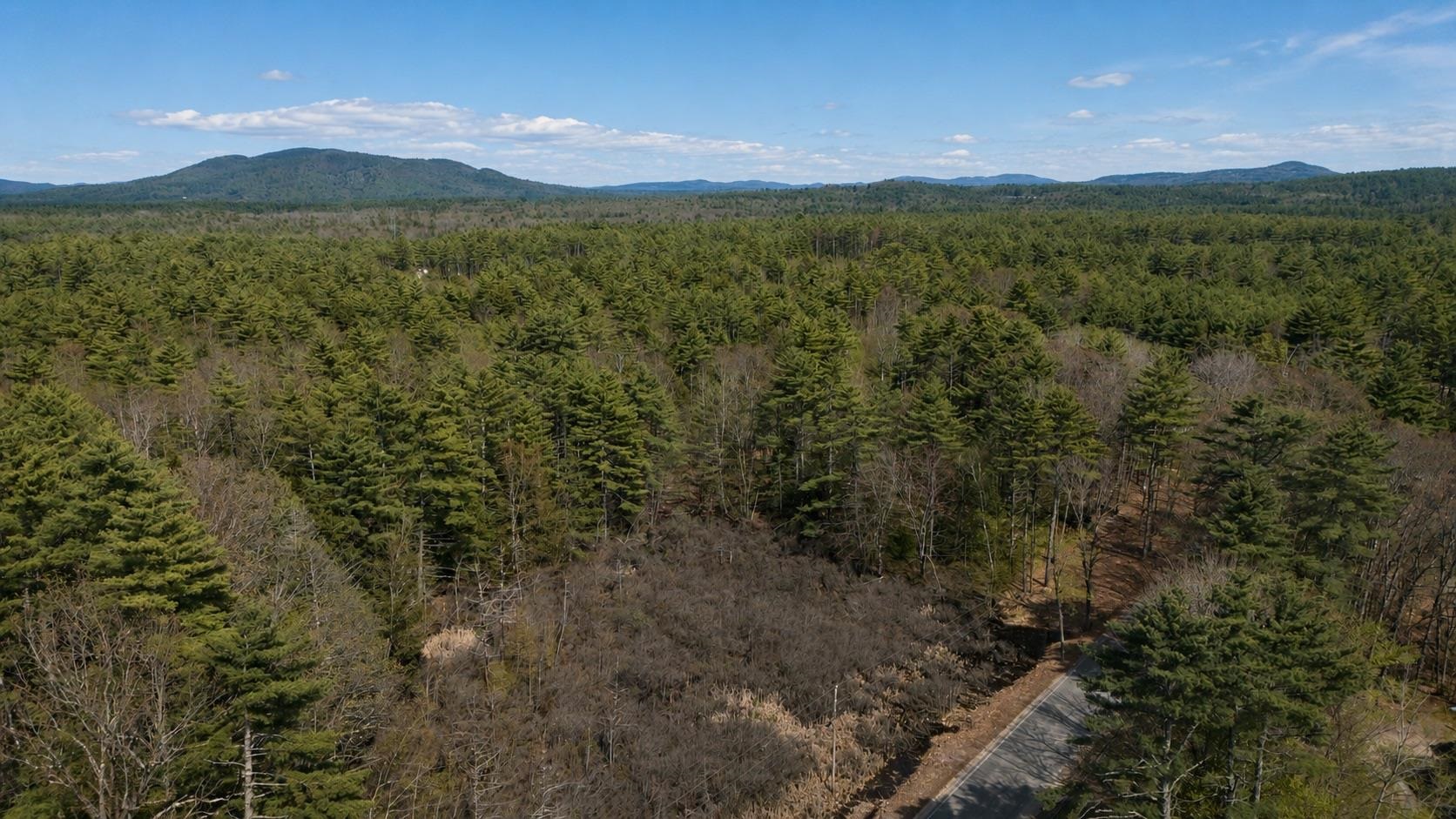 Lot 27.2 Dorrs Corner Rd, Ossipee, NH 03814
