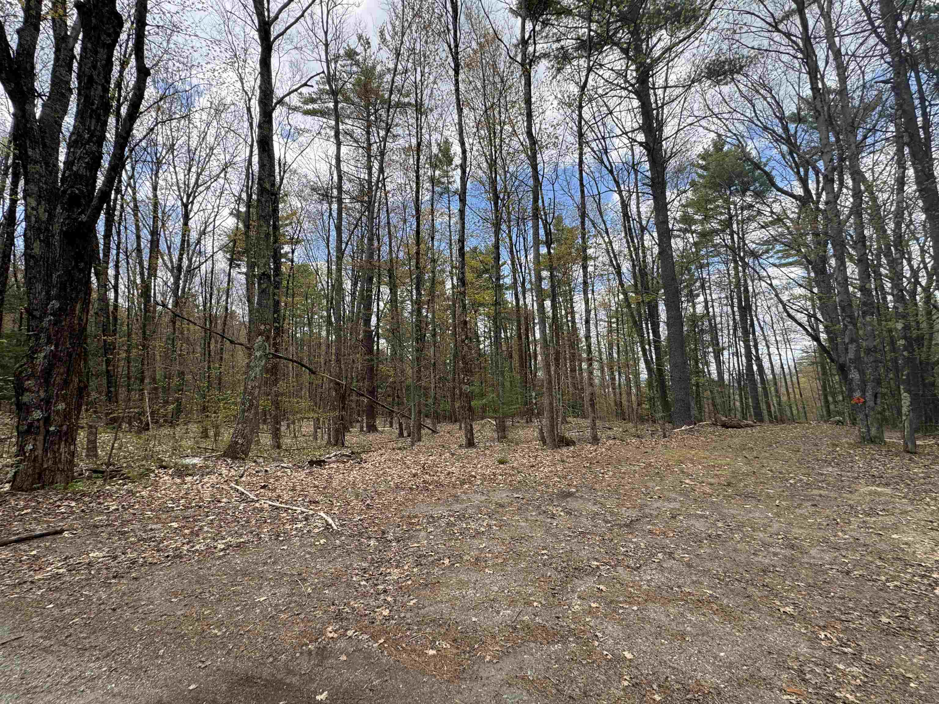 00 Esty Rd, Westmoreland, NH 03467