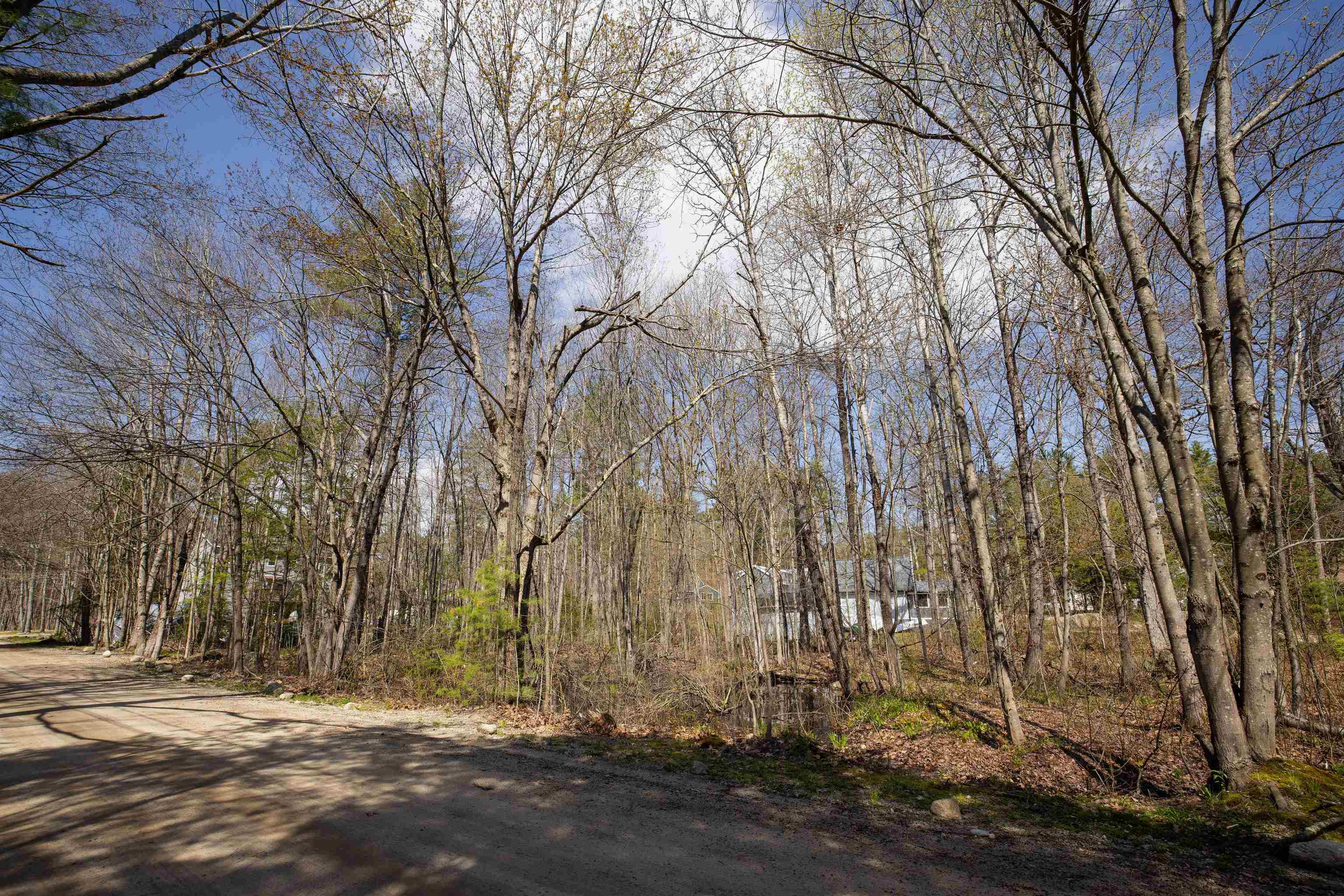 Moccasin Trl, Hillsborough, NH 03244