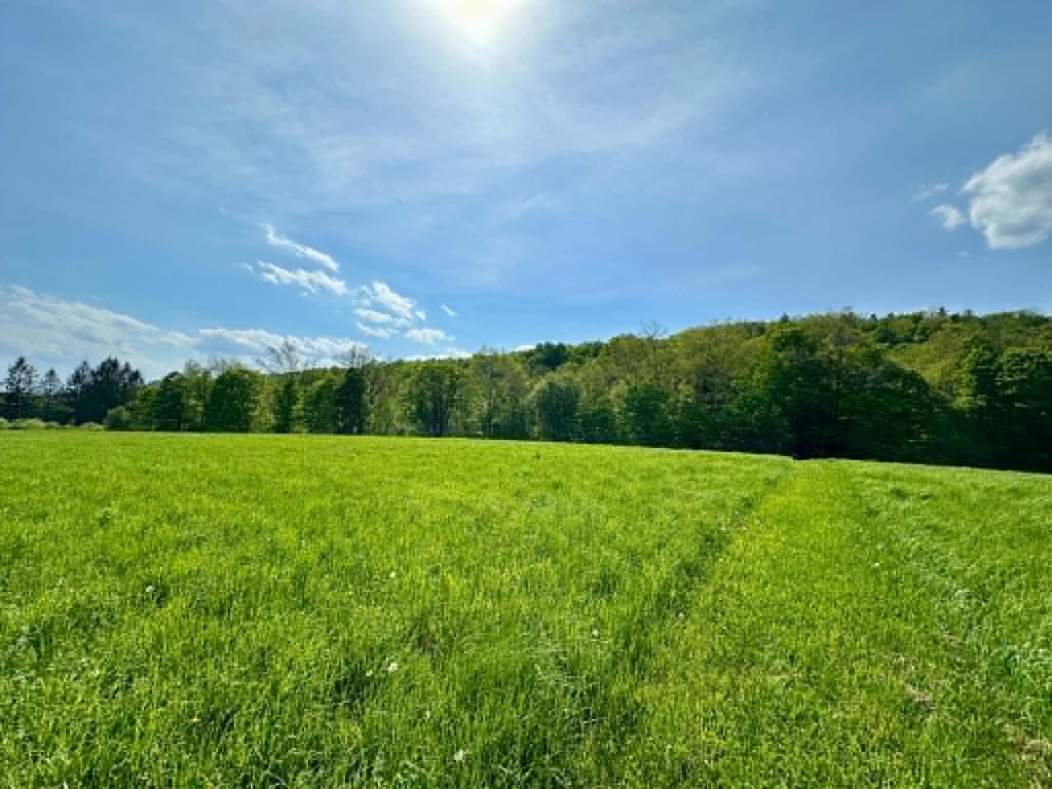 Homes for sale in Guilford, VT | Lot A Sweet Pond Rd, Guilford, VT 05301 | MLS# 5090046