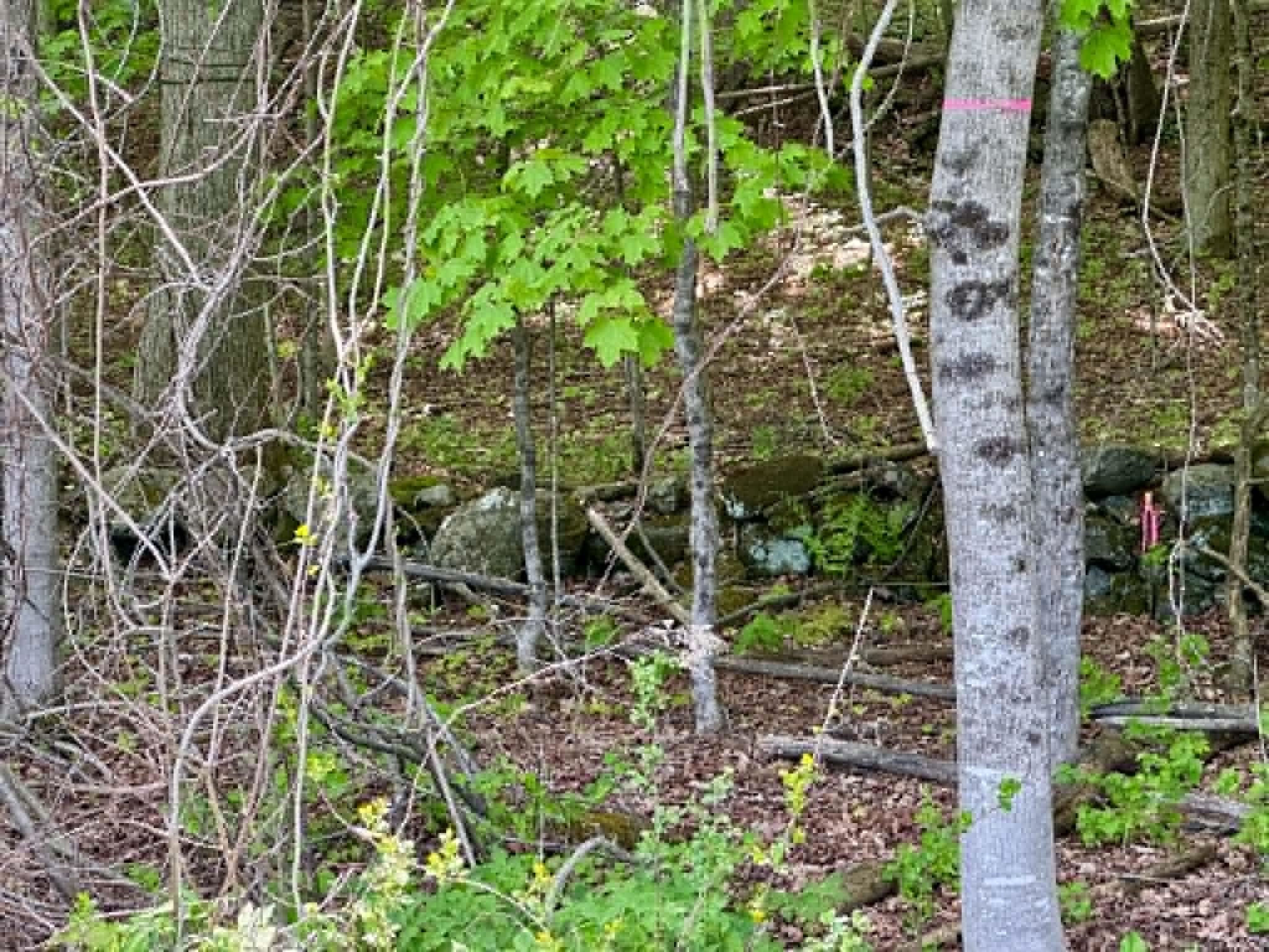 Homes for sale in Guilford, VT | Lot A Sweet Pond Rd, Guilford, VT 05301 | MLS# 5090046