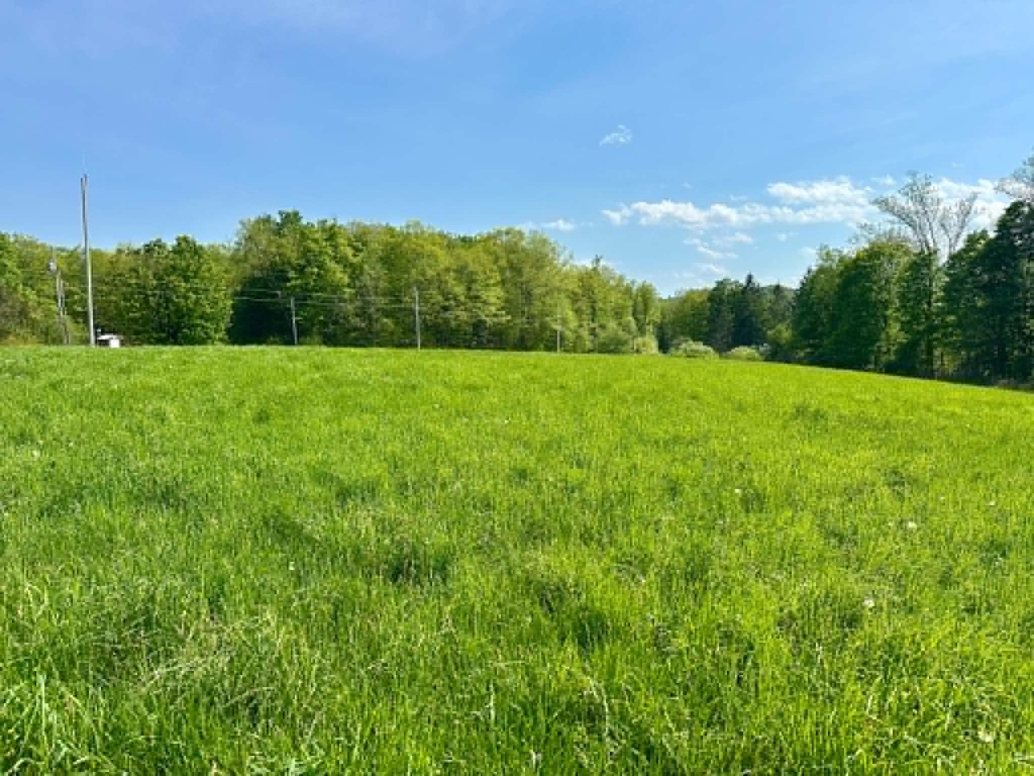 Homes for sale in Guilford, VT | Lot A Sweet Pond Rd, Guilford, VT 05301 | MLS# 5090046