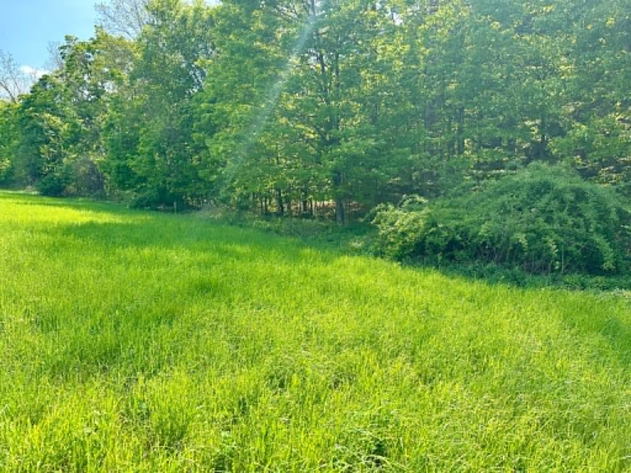Homes for sale in Guilford, VT | Lot A Sweet Pond Rd, Guilford, VT 05301 | MLS# 5090046