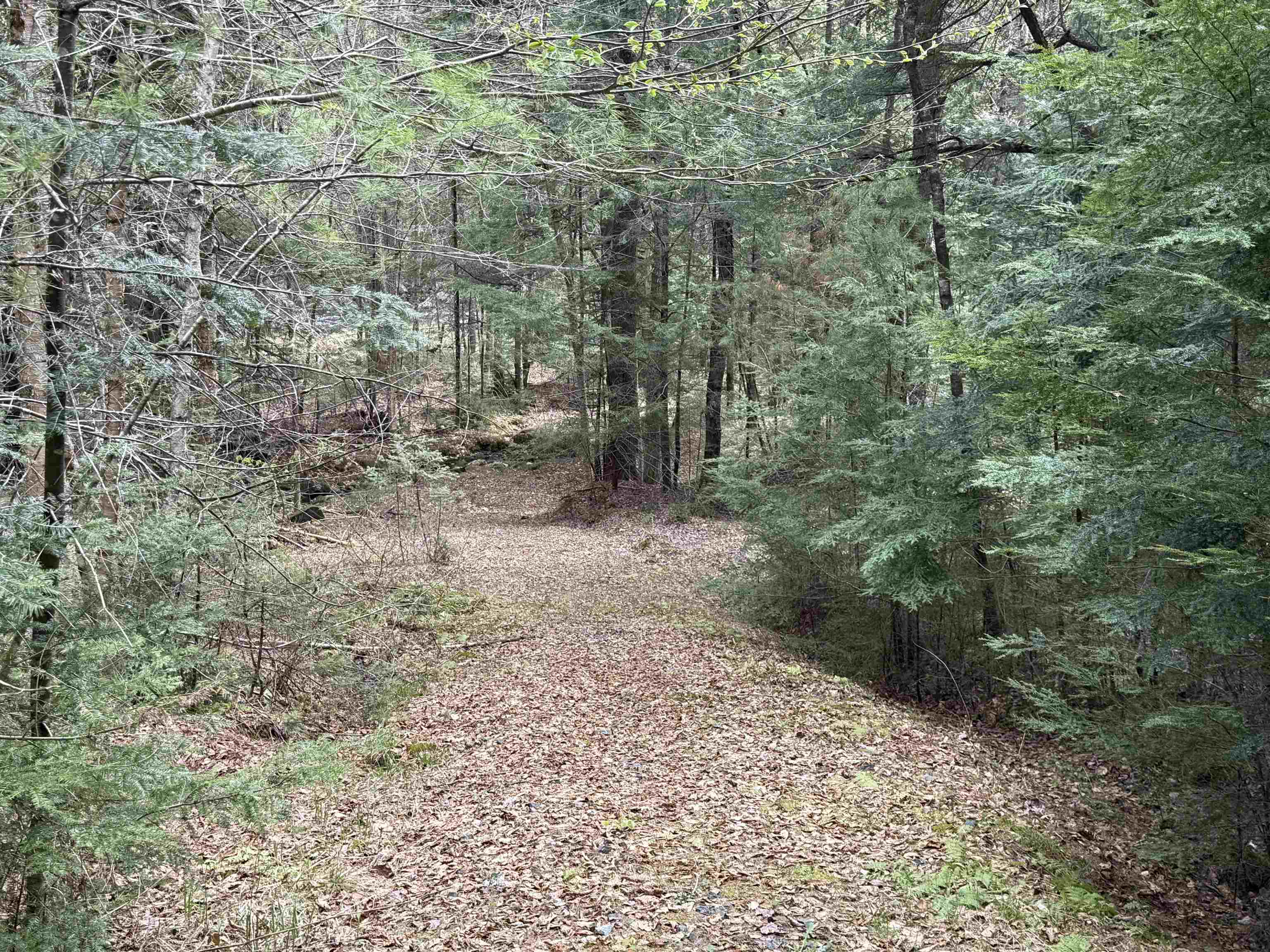 Walking Trails 25261439