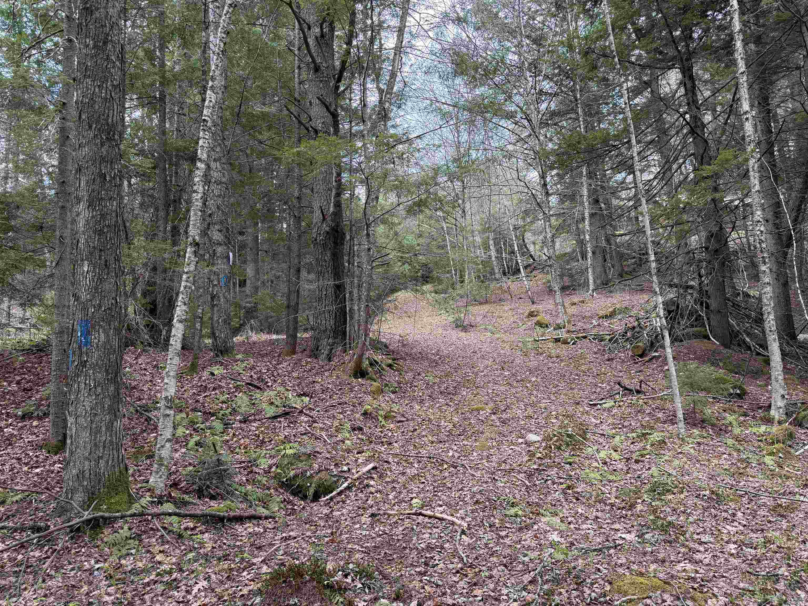 Walking Trails On Property 25261454