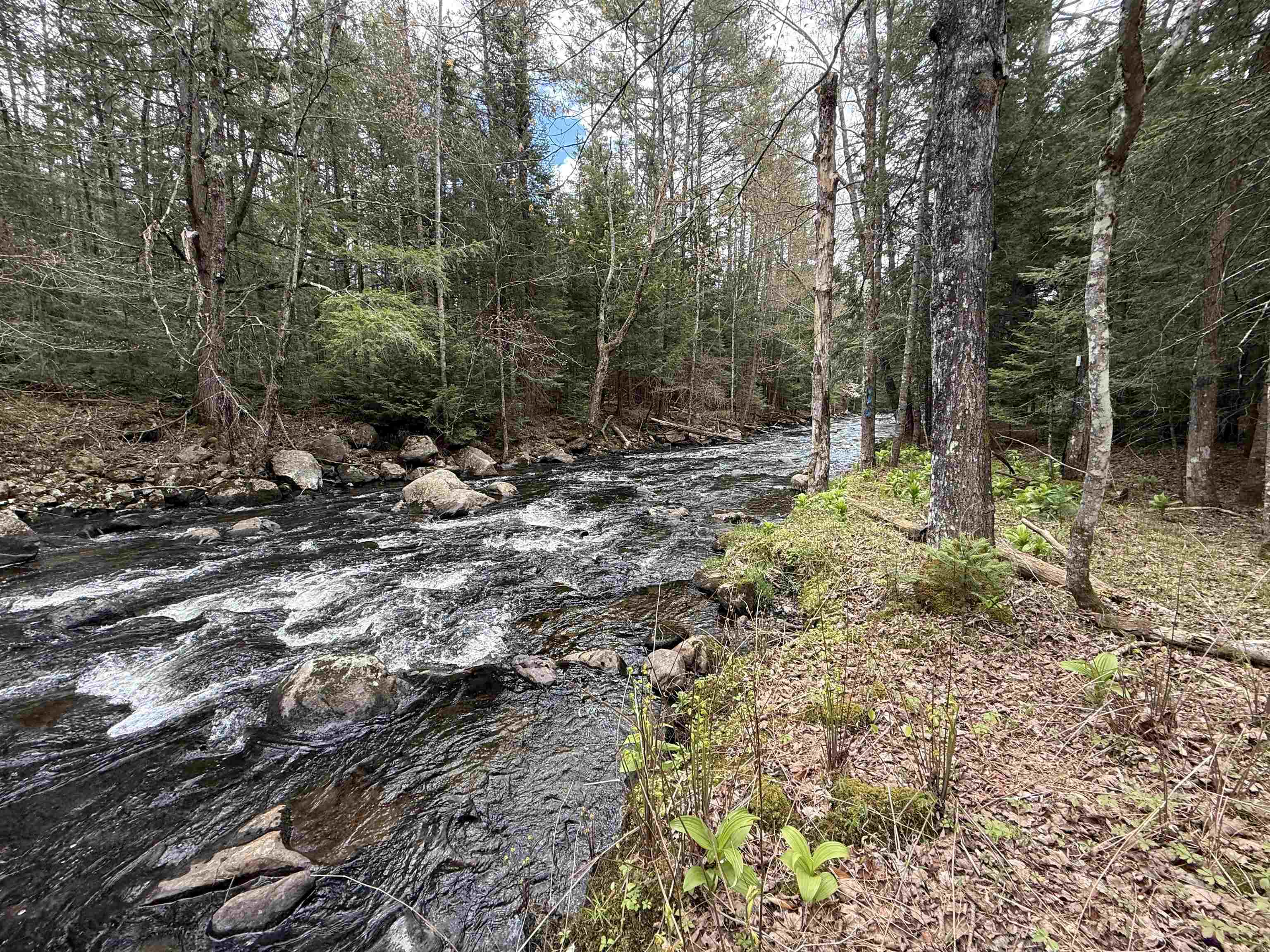 River Frontage 25261450