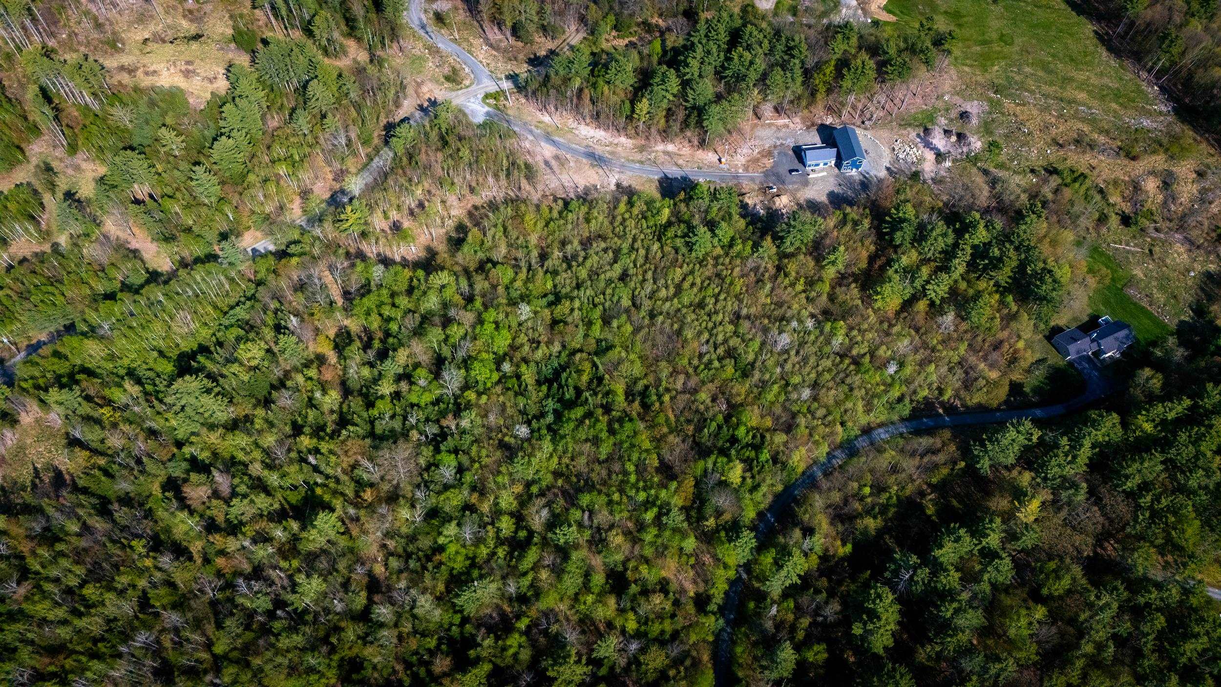 82 Bear Paw Trl, Littleton, NH 03561
