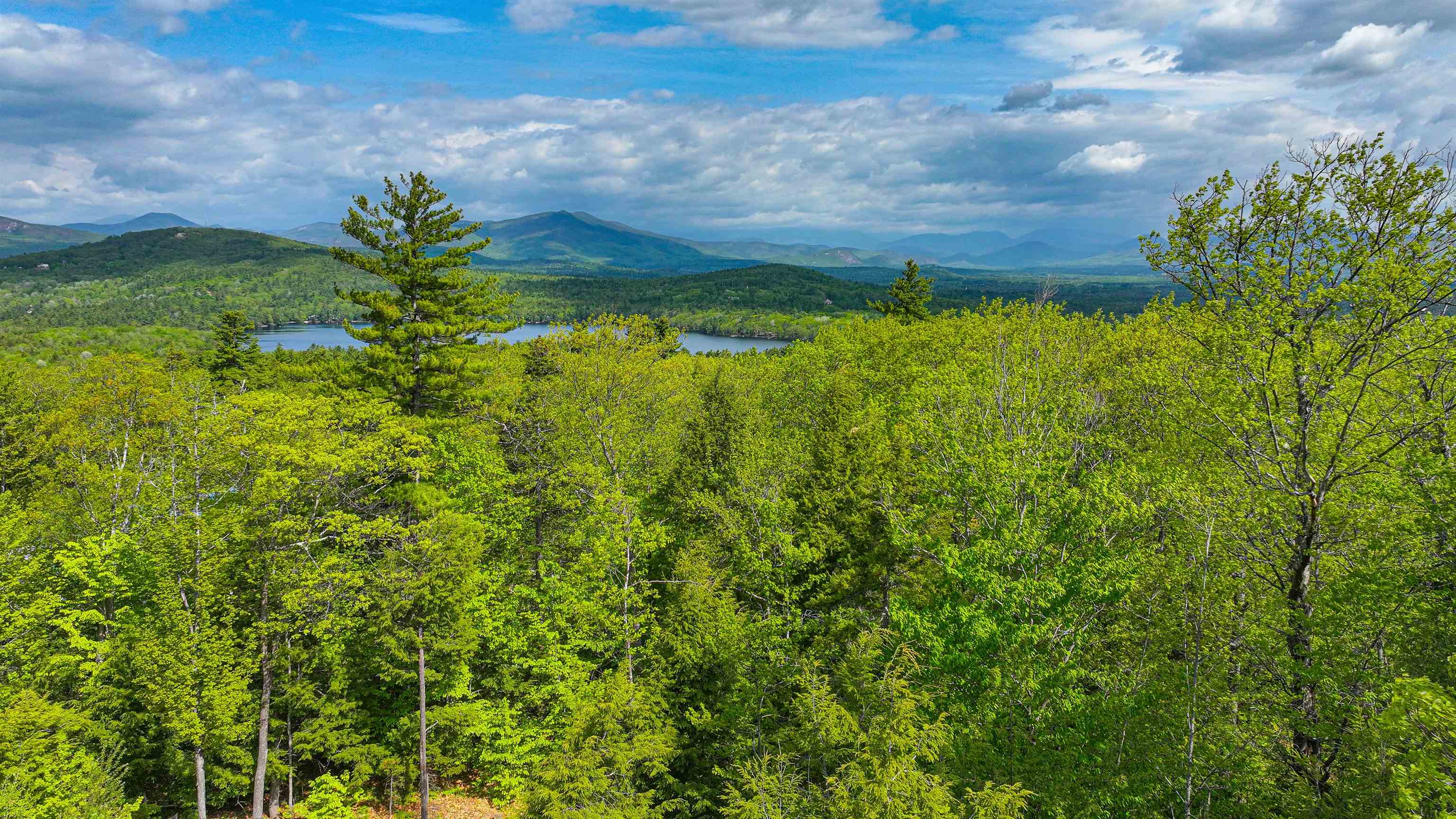 44 Regent Hill Rd, Conway, NH 03818