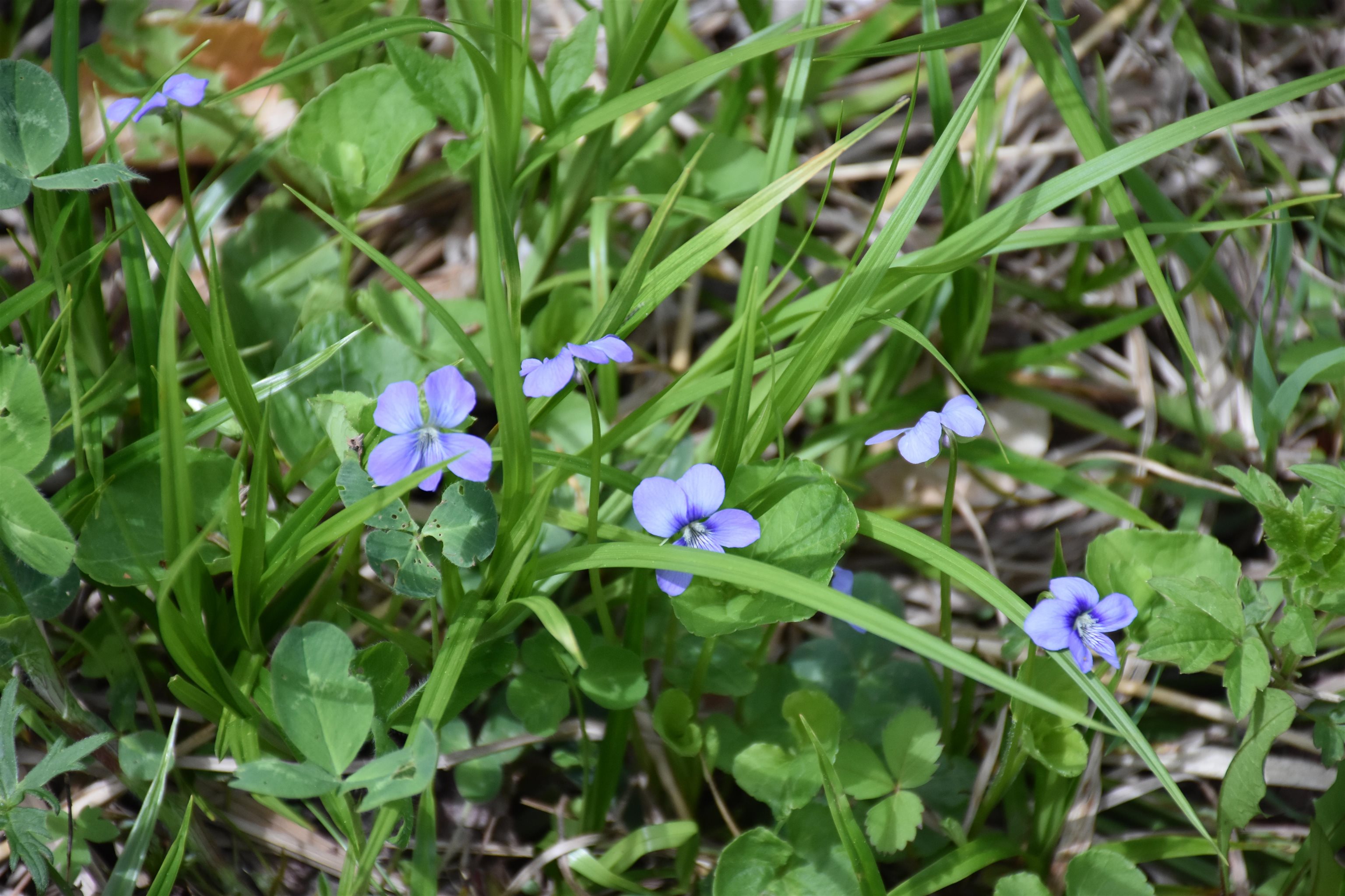 Property photo 18
