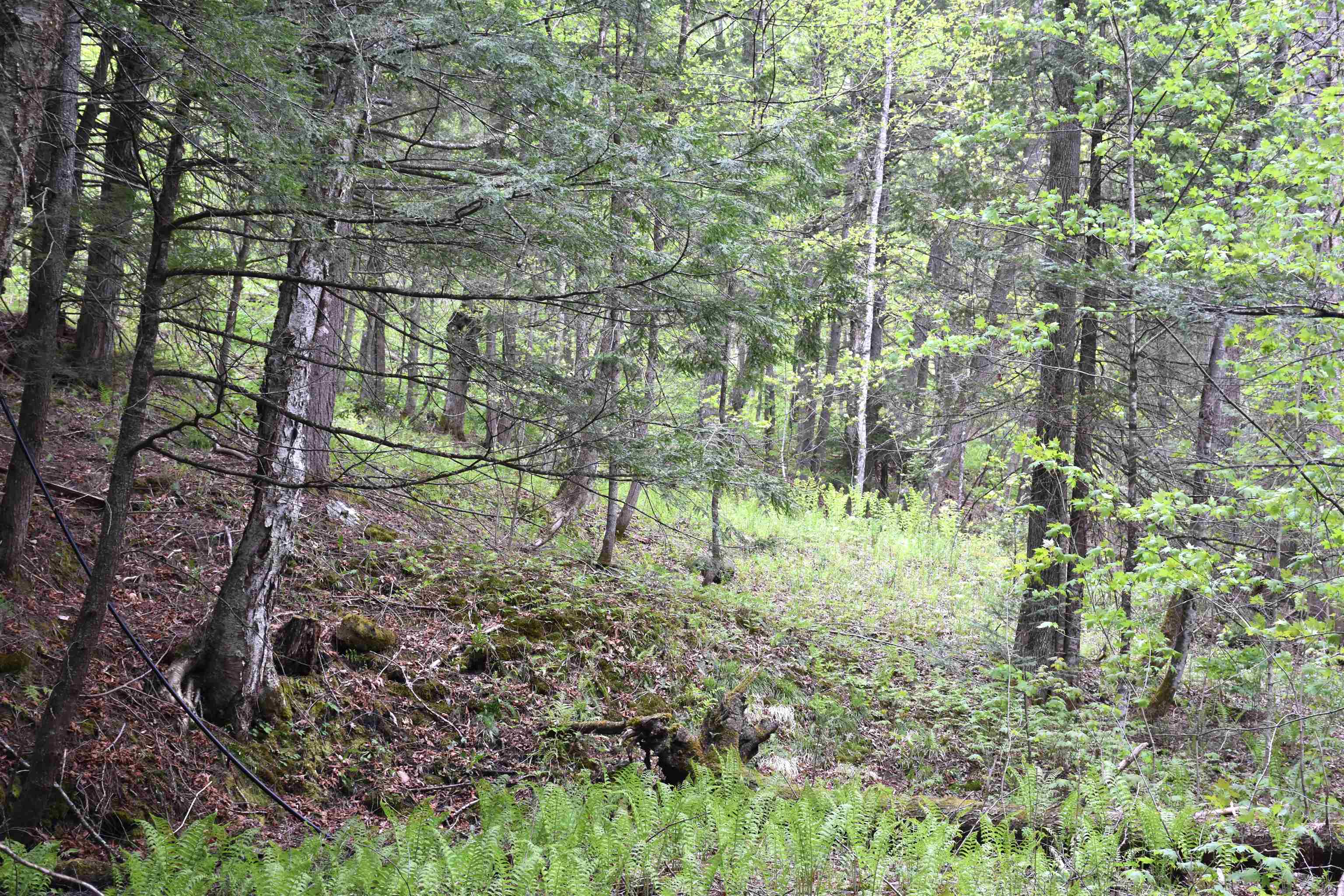 Property photo 31