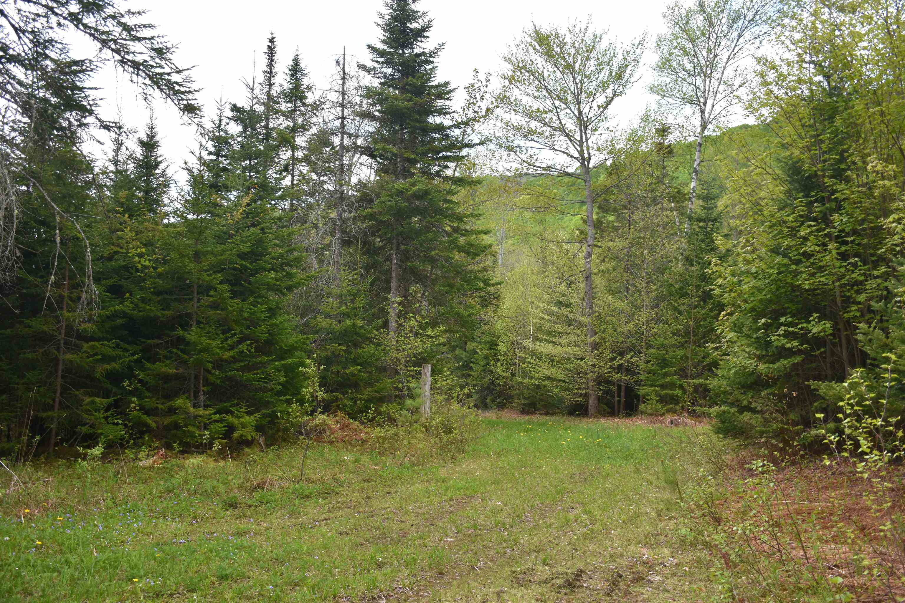 Property photo 35