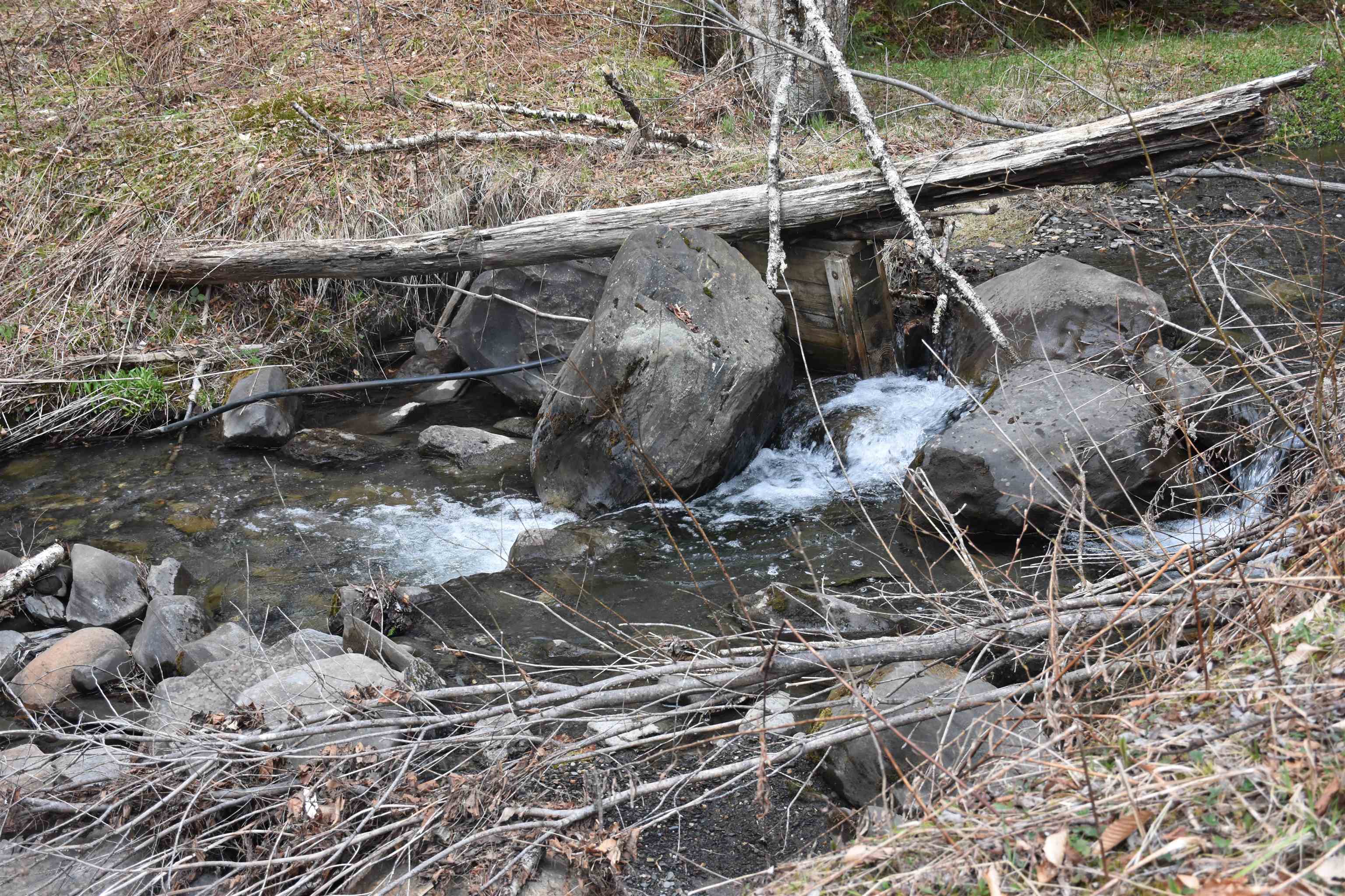 Property photo 43